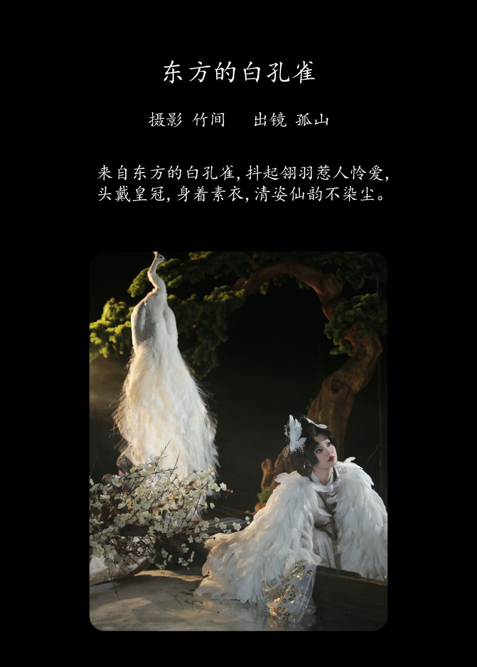 图片[2]-遇孤山 – 《东方的白孔雀》[30P]-COS写真在线网