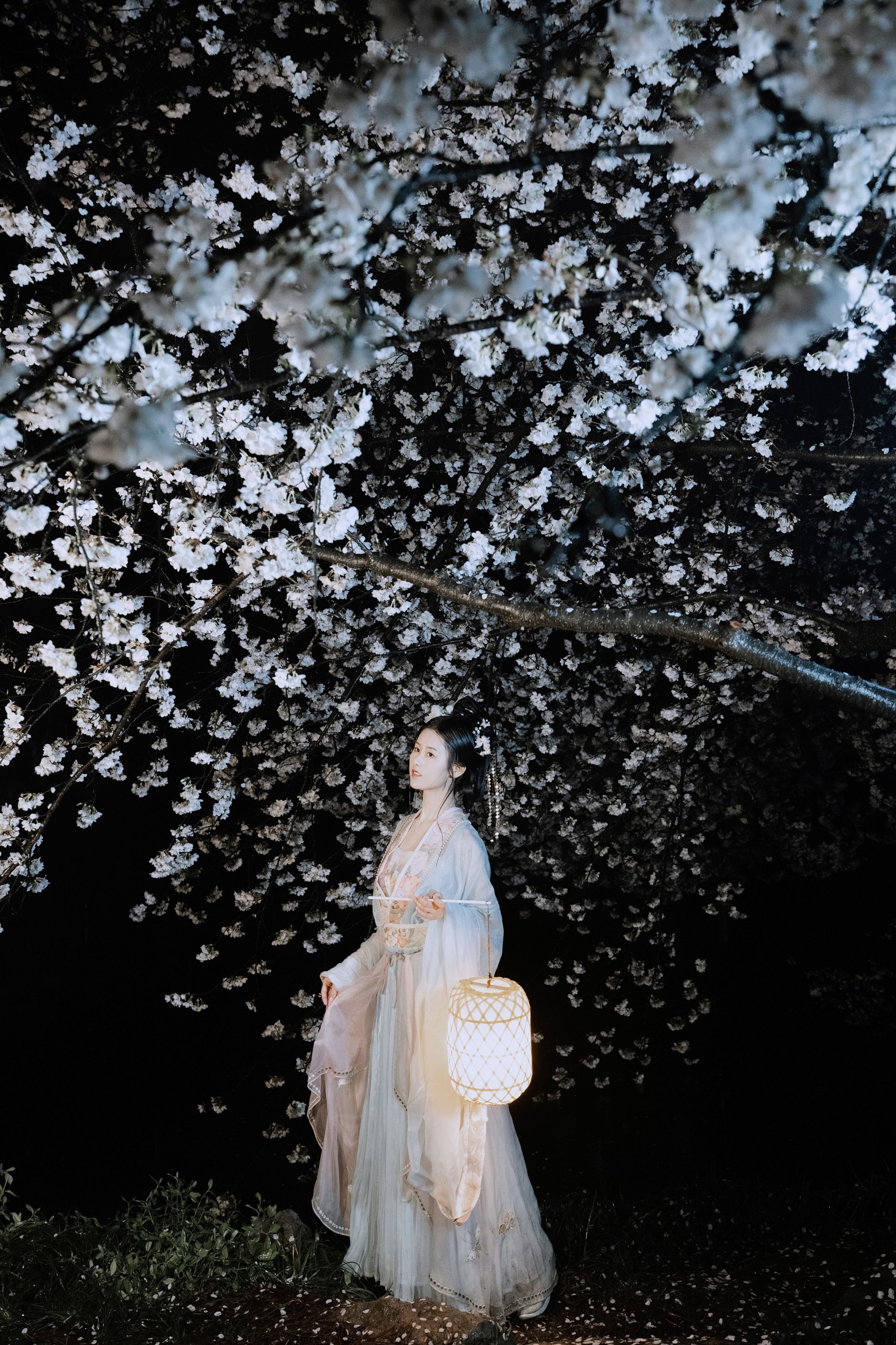 图片[6]-人间月-素尘 – 《夜雨赏樱》[44P]-COS写真在线网