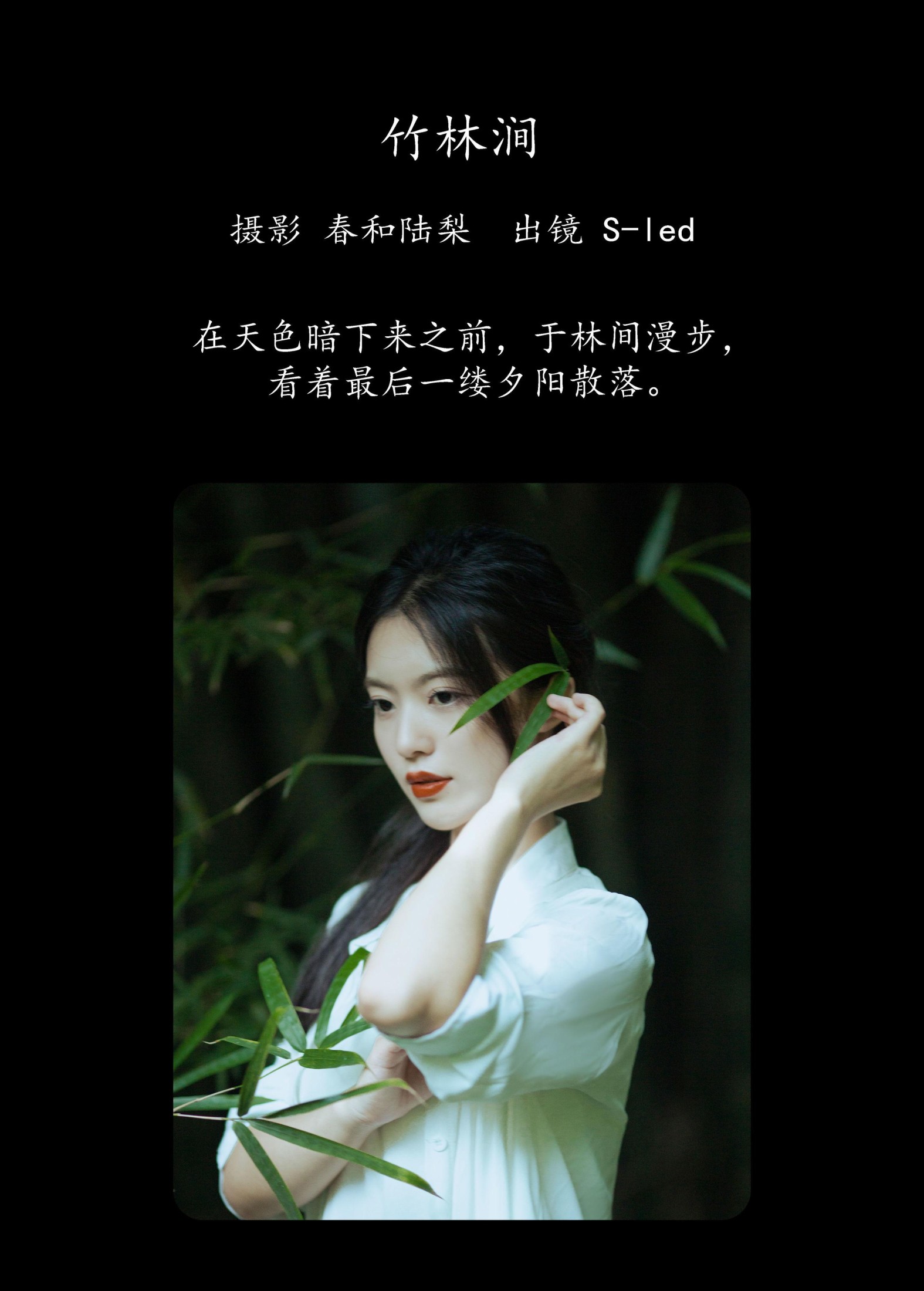 图片[2]-S-led – 《竹林涧》[22P]-COS写真在线网