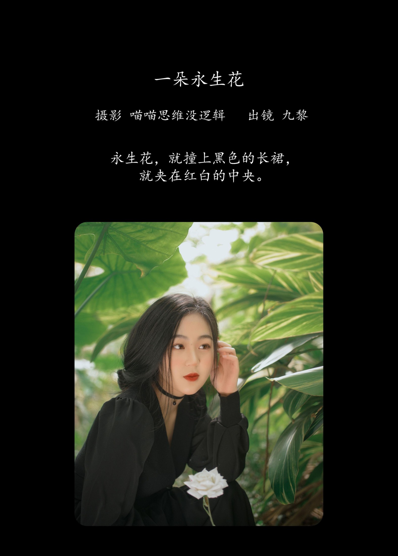 图片[2]-九黎 – 《一朵永生花》[23P]-COS写真在线网