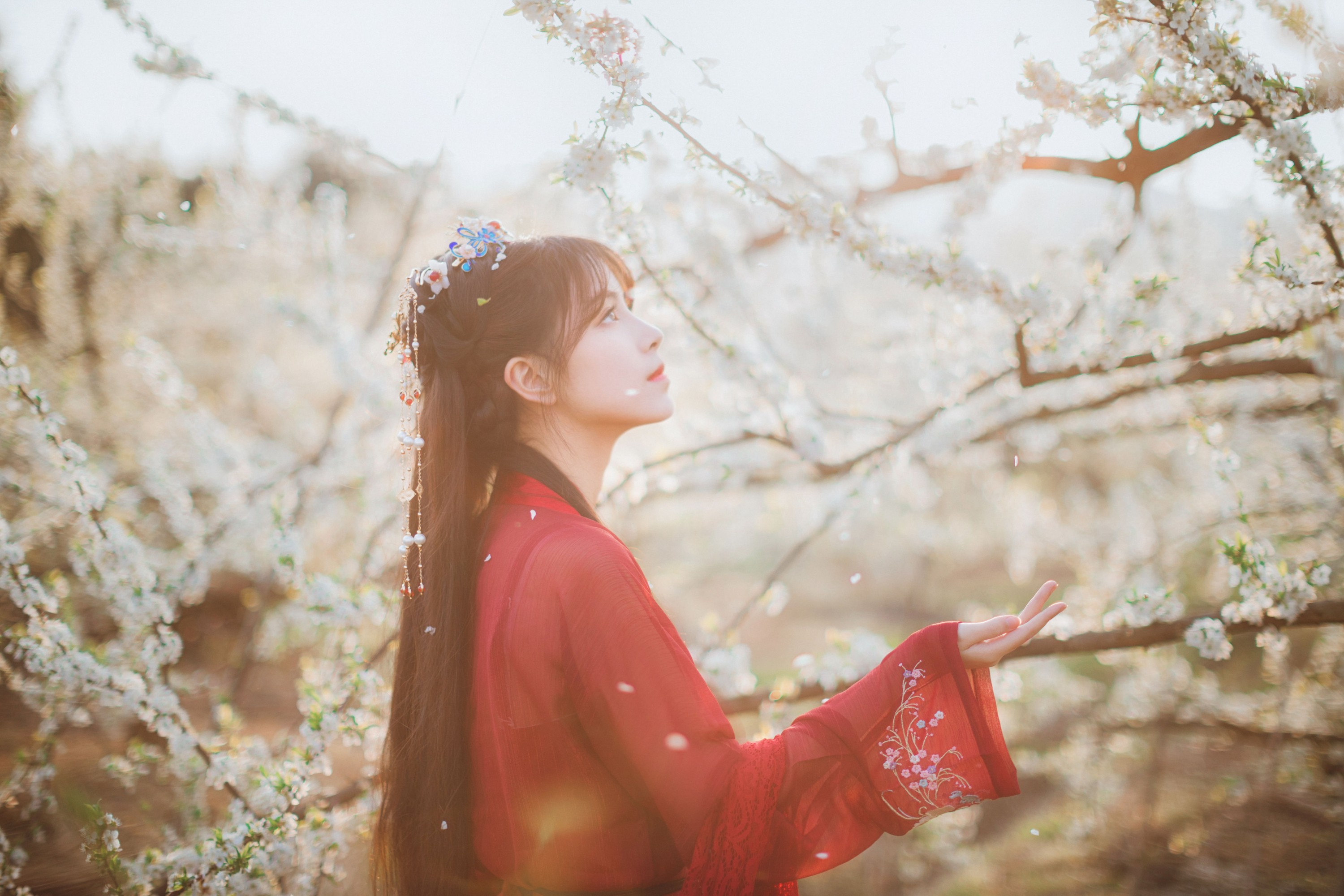 图片[4]-公子不坏 – 《知花事》[22P]-COS写真在线网