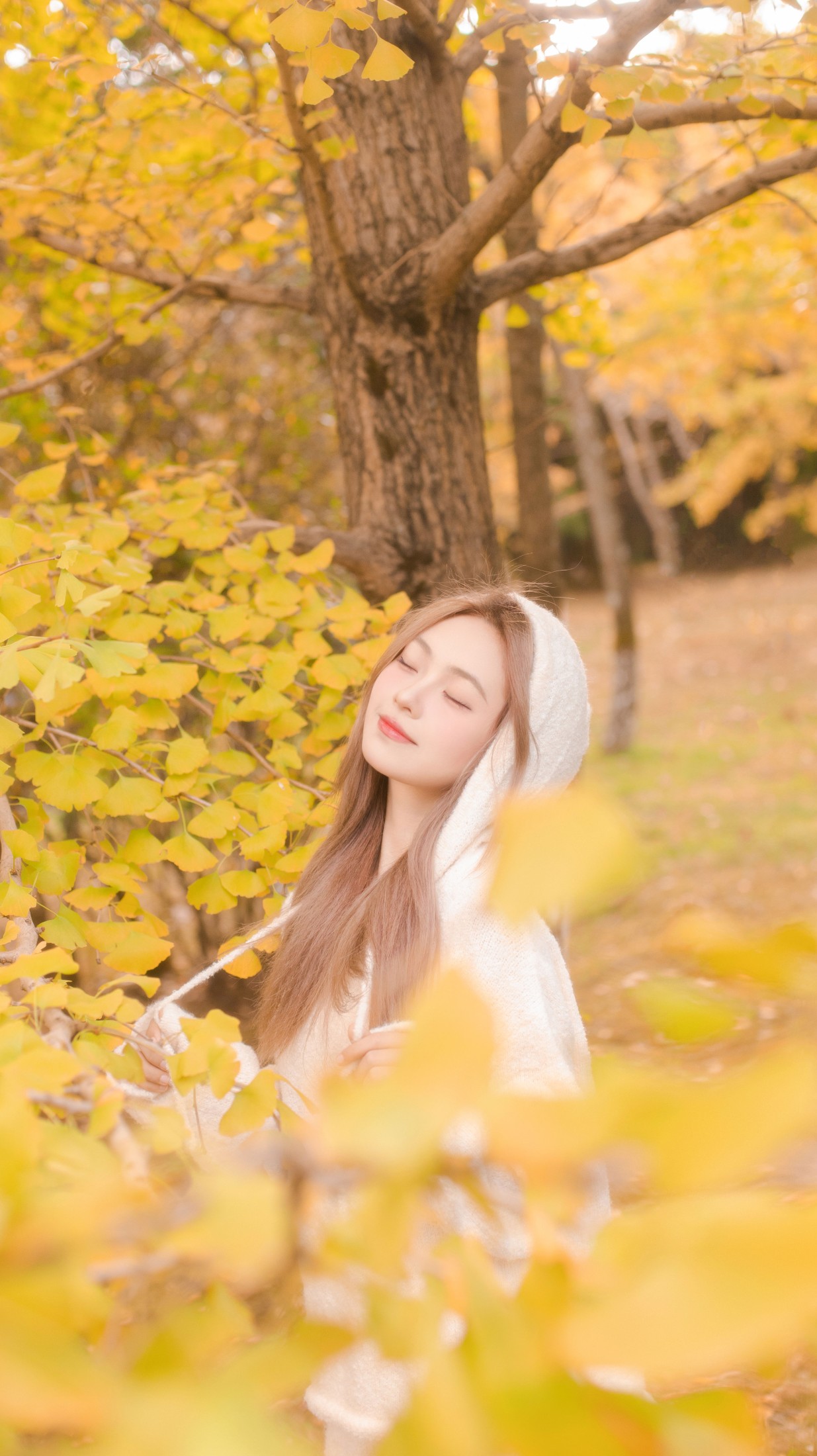 图片[5]-羔丽代 – 《沁入秋风的温柔》[33P]-COS写真在线网