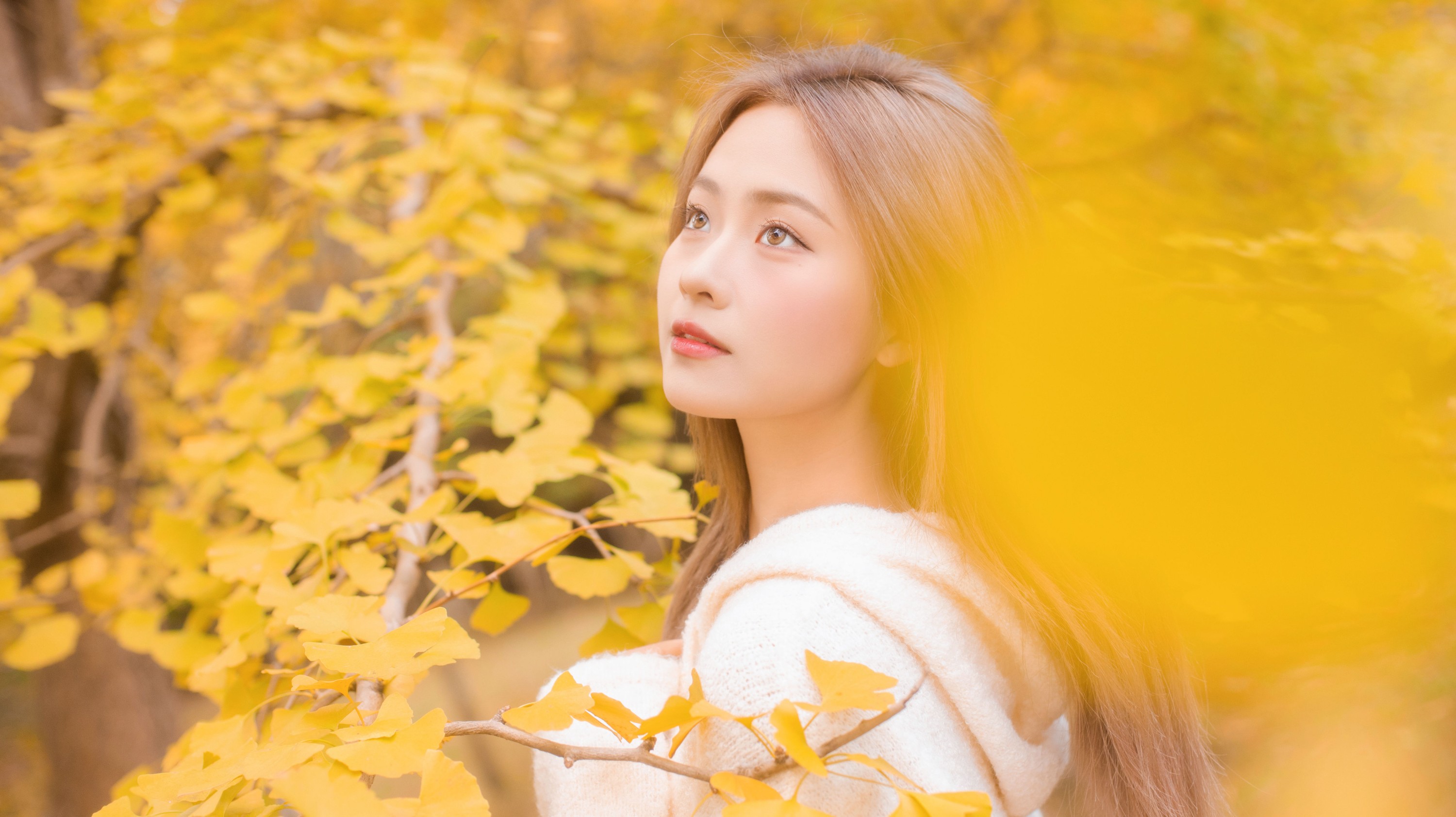 图片[3]-羔丽代 – 《沁入秋风的温柔》[33P]-COS写真在线网
