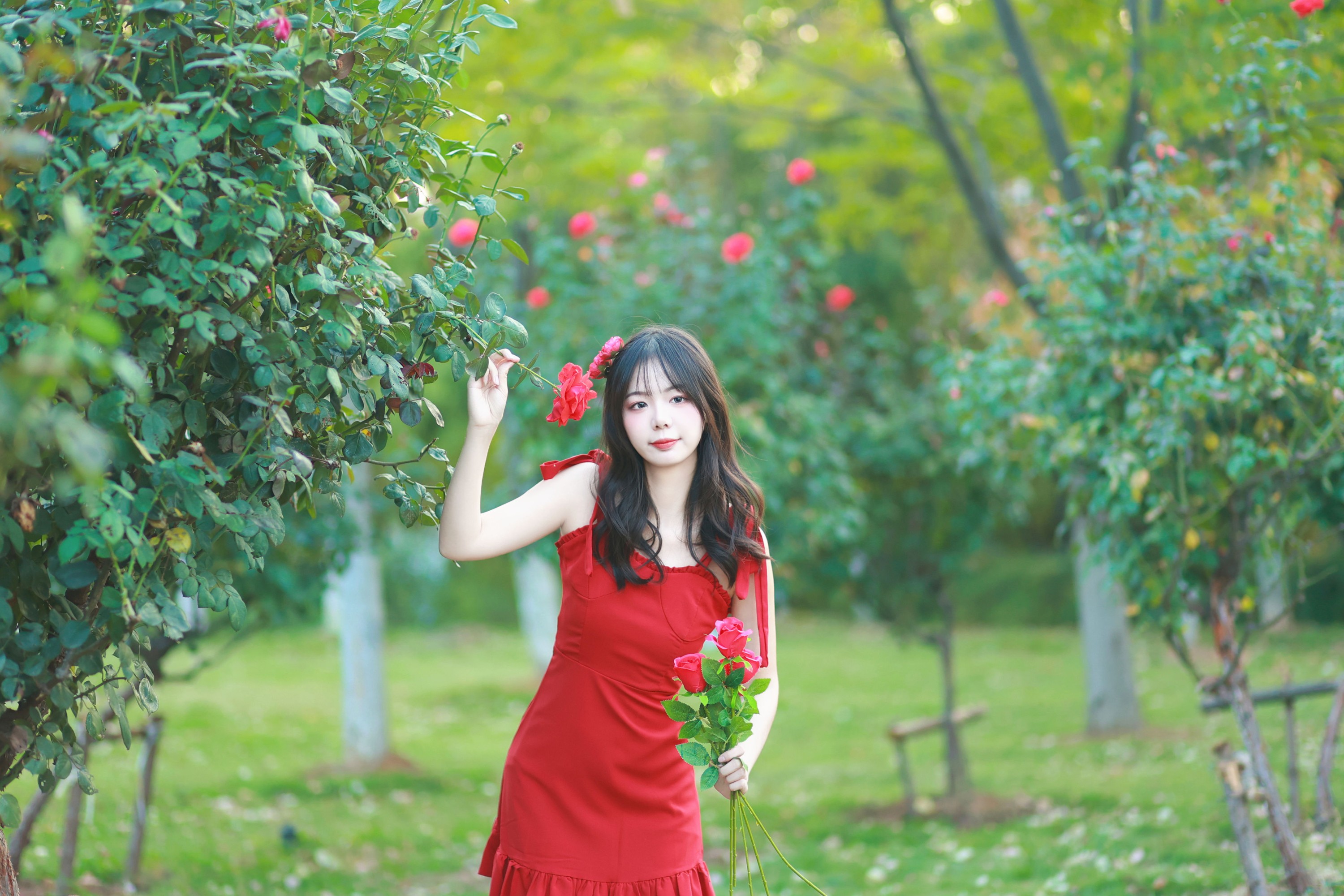 图片[6]-暮烟色CC – 《玫瑰园的少女》[22P]-COS写真在线网