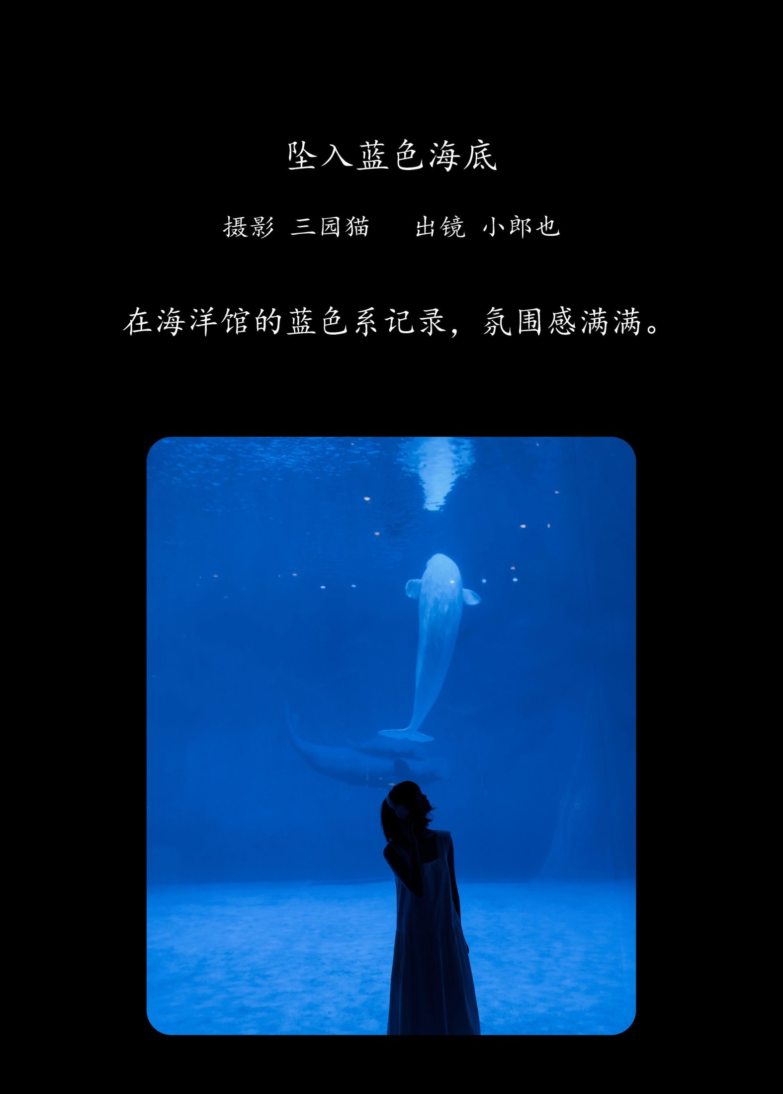 图片[2]-小郎也 – 《坠入蓝色海底》[26P]-COS写真在线网