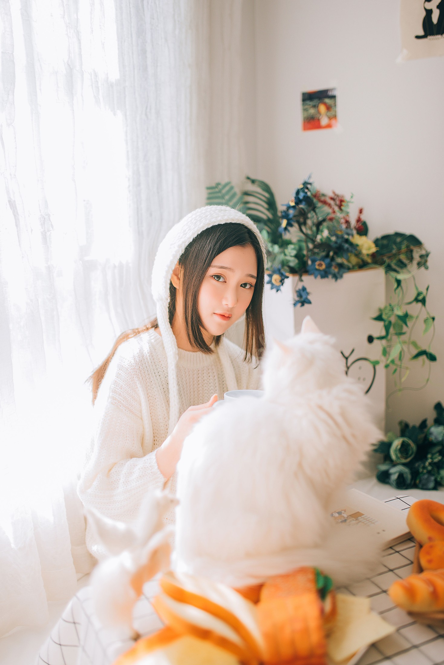 图片[3]-格格 – 《阳光温暖，小猫温柔》[29P]-COS写真在线网