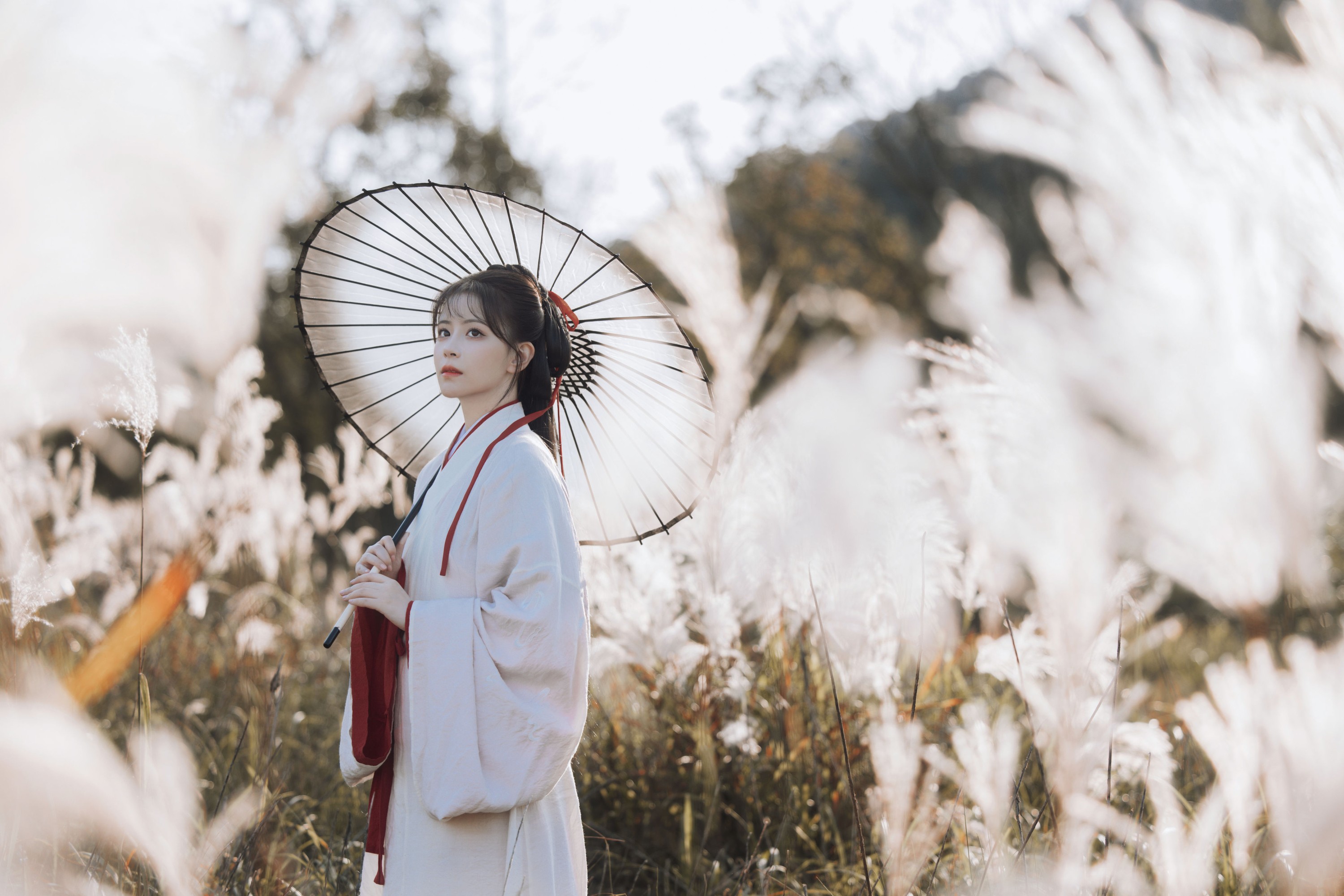 图片[6]-公子不坏 – 《蒹葭苍苍》[22P]-COS写真在线网