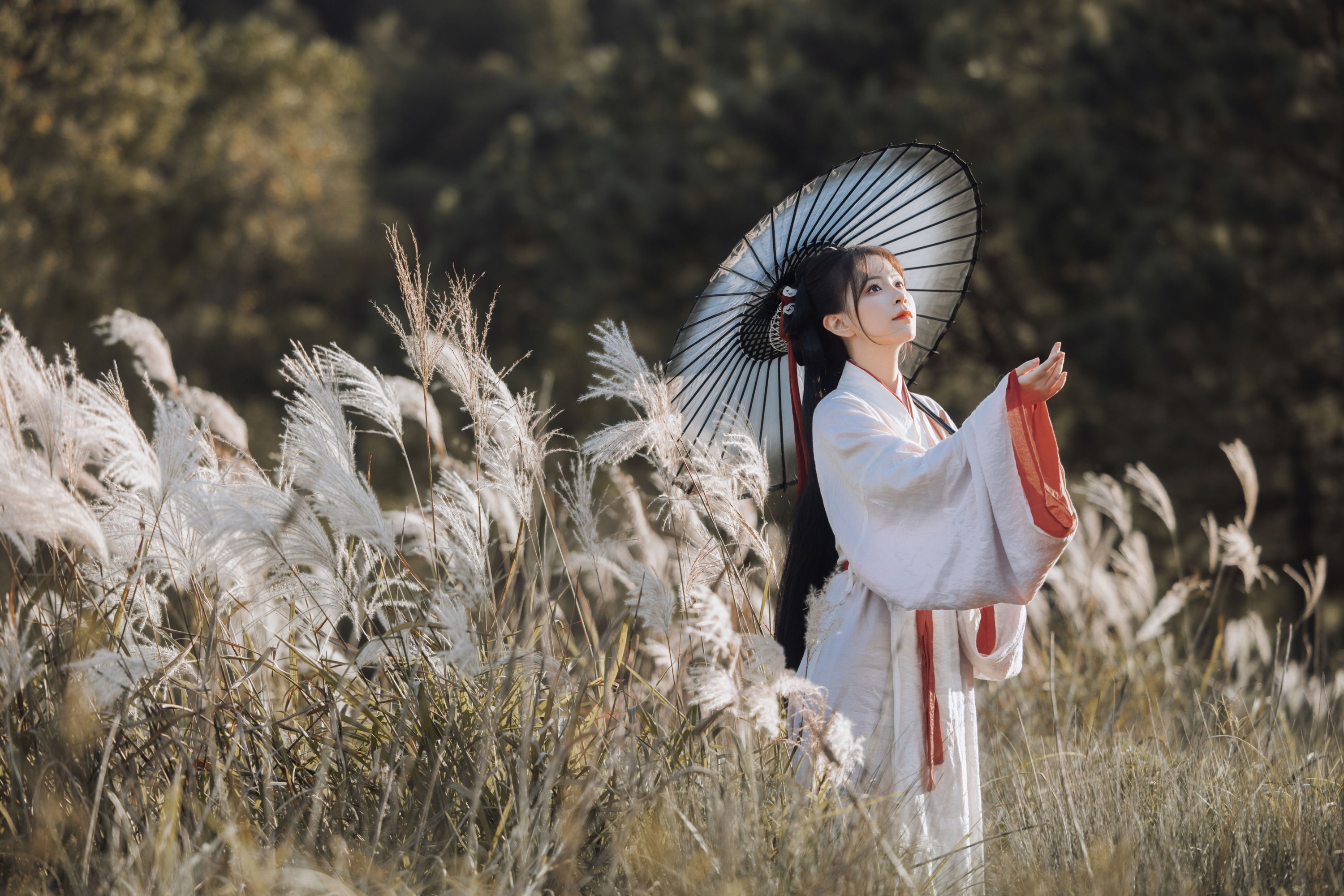 图片[4]-公子不坏 – 《蒹葭苍苍》[22P]-COS写真在线网