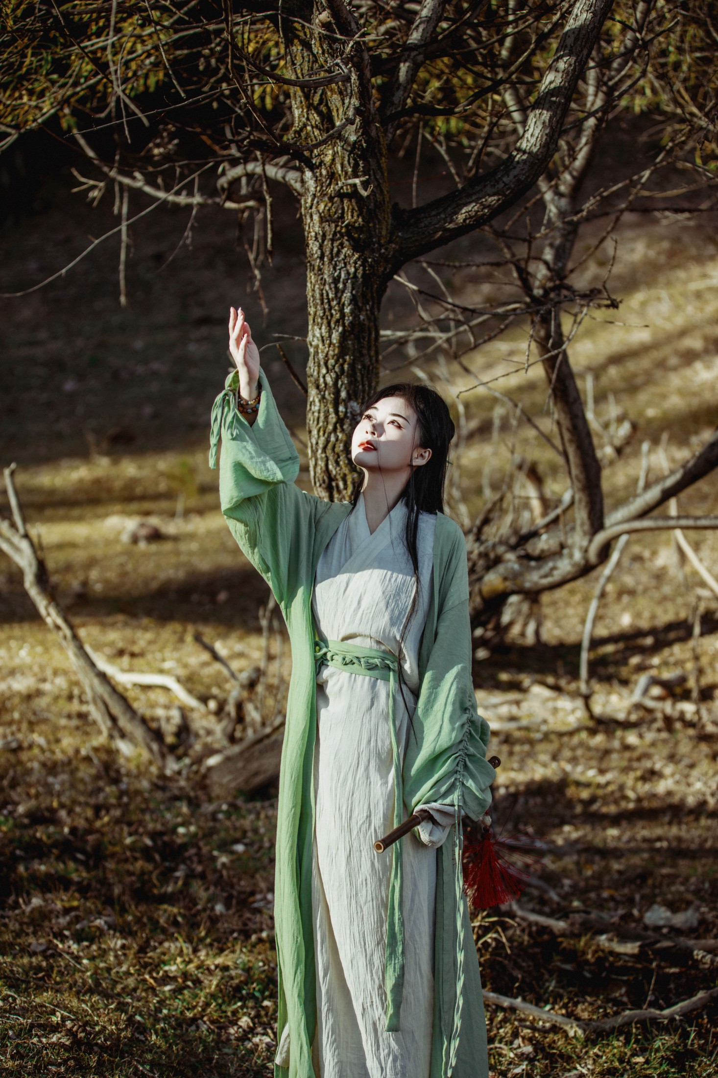 图片[5]-抱抱荔枝_ – 《山山待暮》[28P]-COS写真在线网
