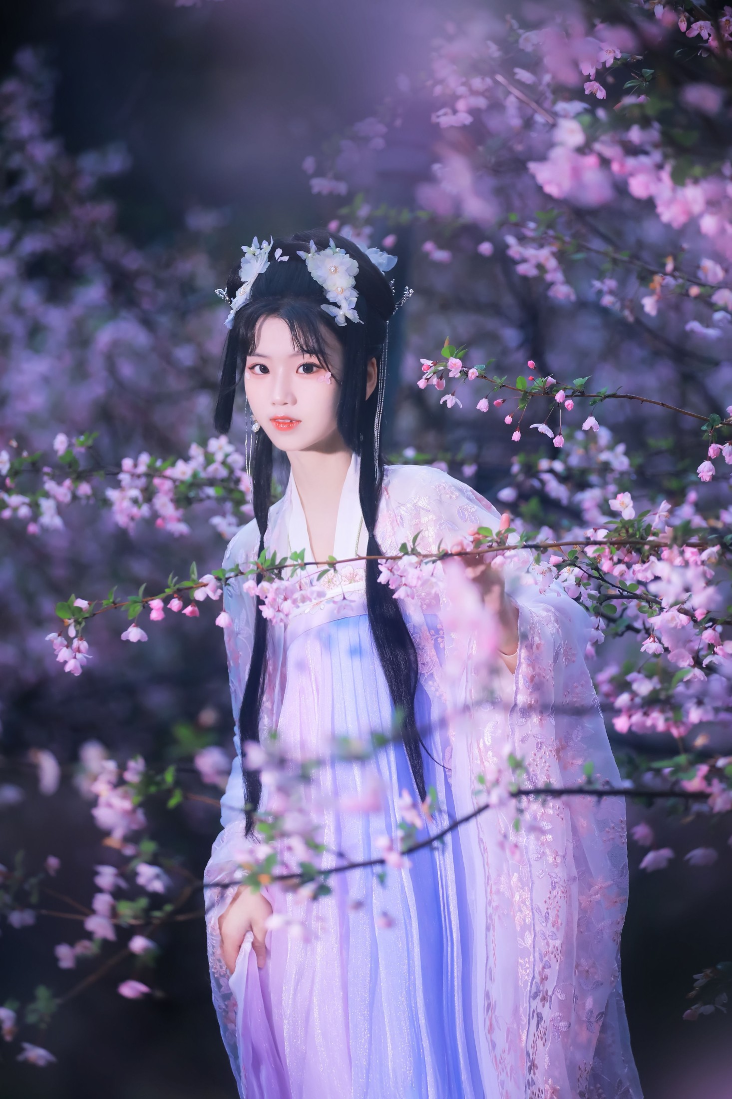 图片[3]-周周Ay – 《海棠依旧》[26P]-COS写真在线网