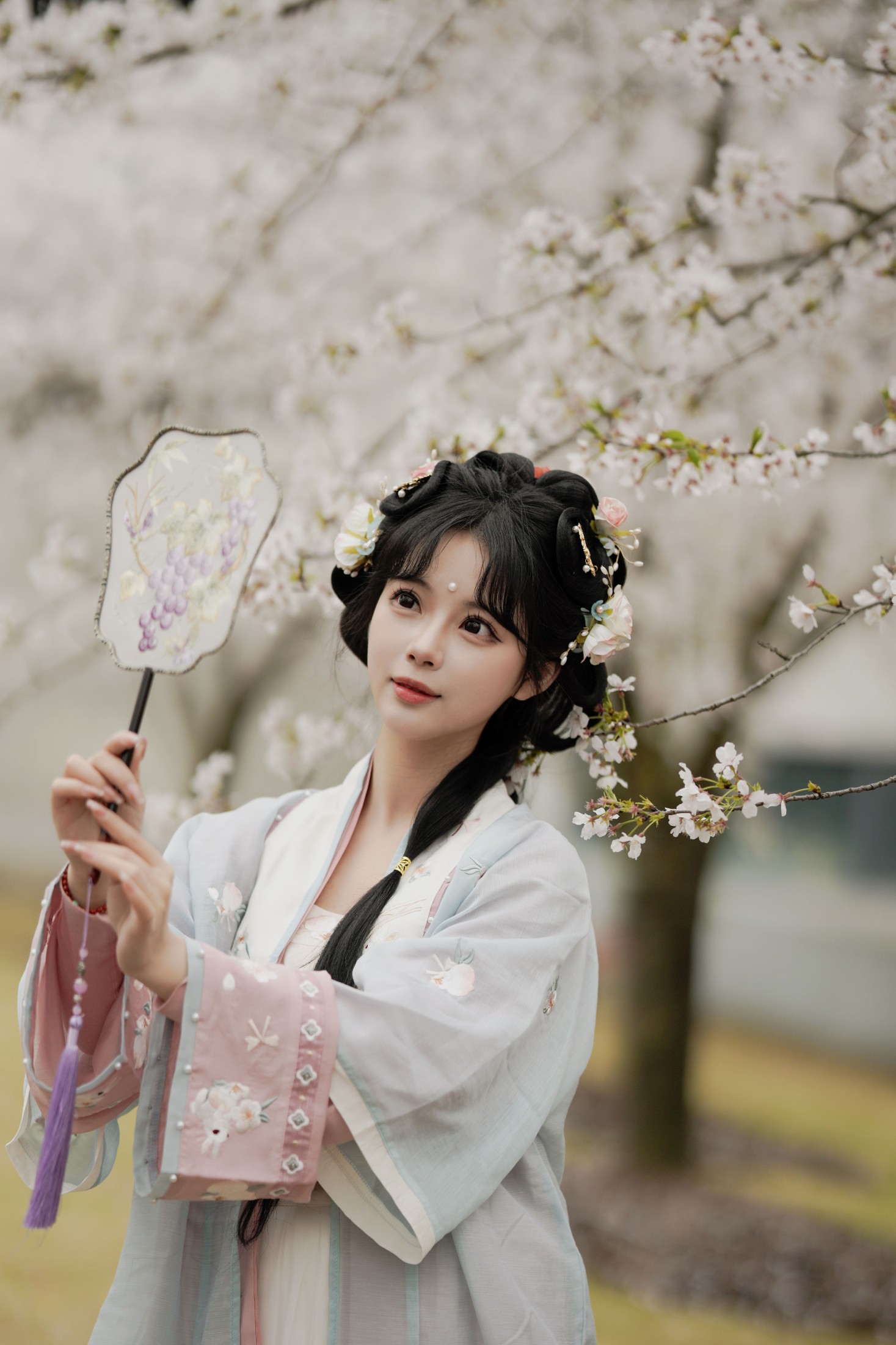 图片[5]-苏苏 – 《樱花树下》[27P]-COS写真在线网