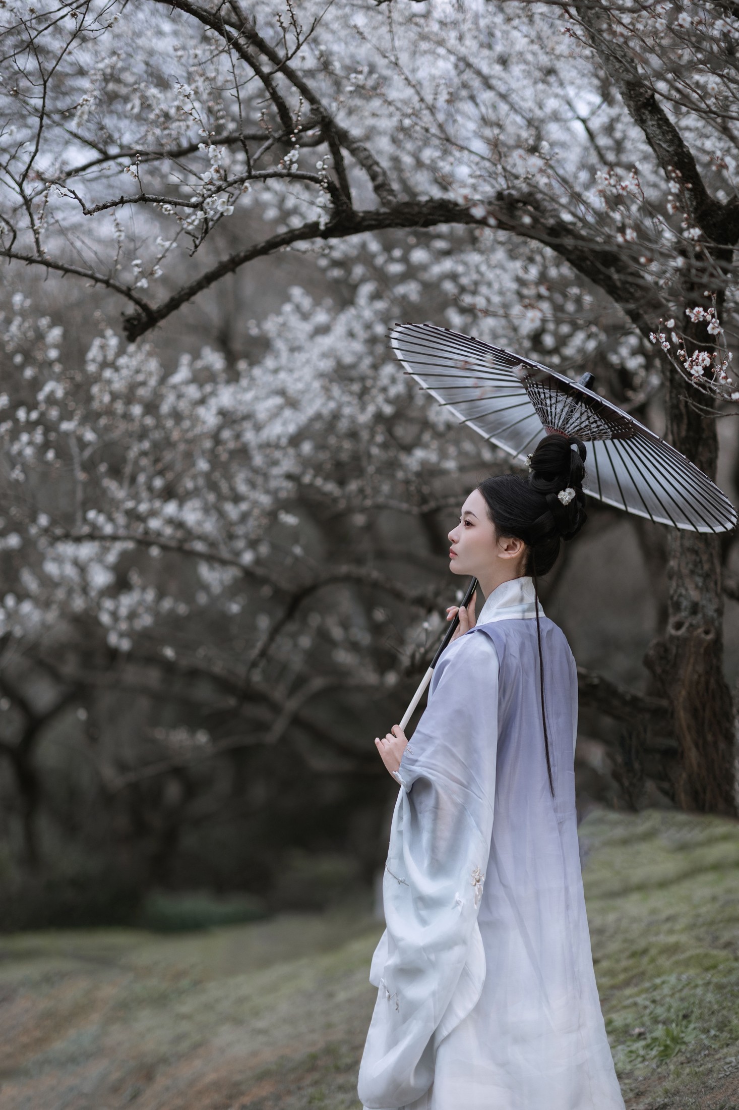 图片[6]-汀贰 – 《问梅》[32P]-COS写真在线网