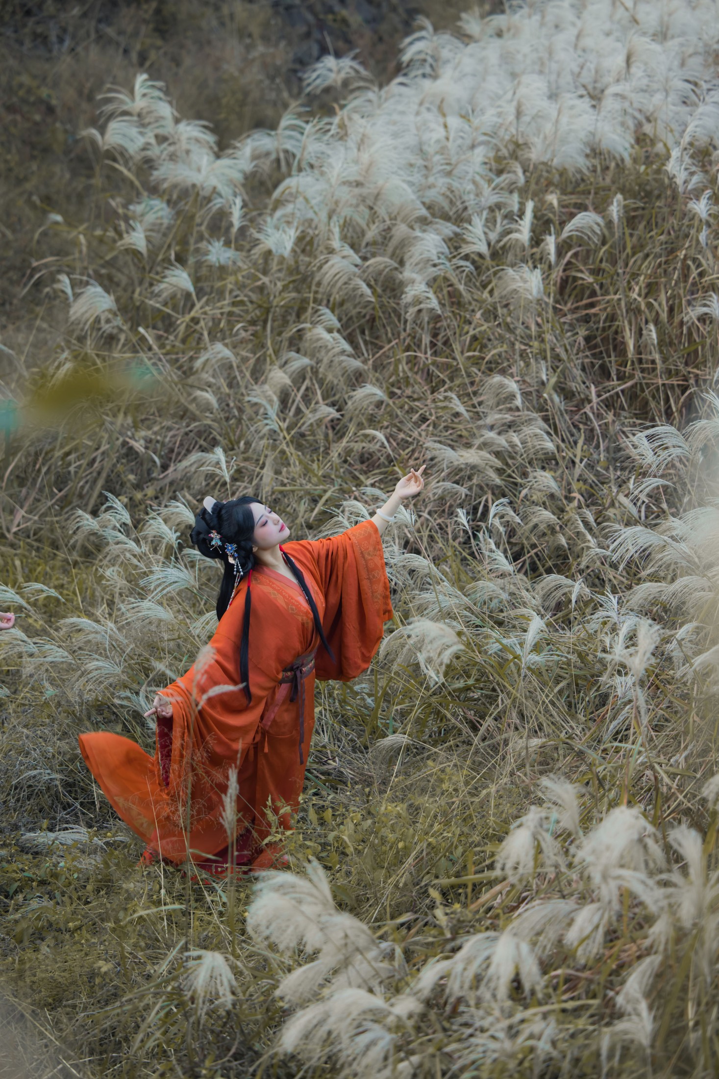 图片[3]-衔鹿 – 《蒹葭苍苍》[22P]-COS写真在线网