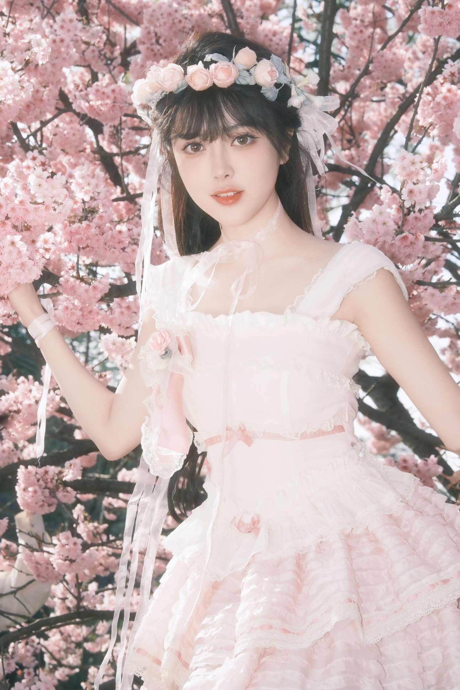 图片[3]-星之卡桃 – 《樱花少女梦》[28P]-COS写真在线网