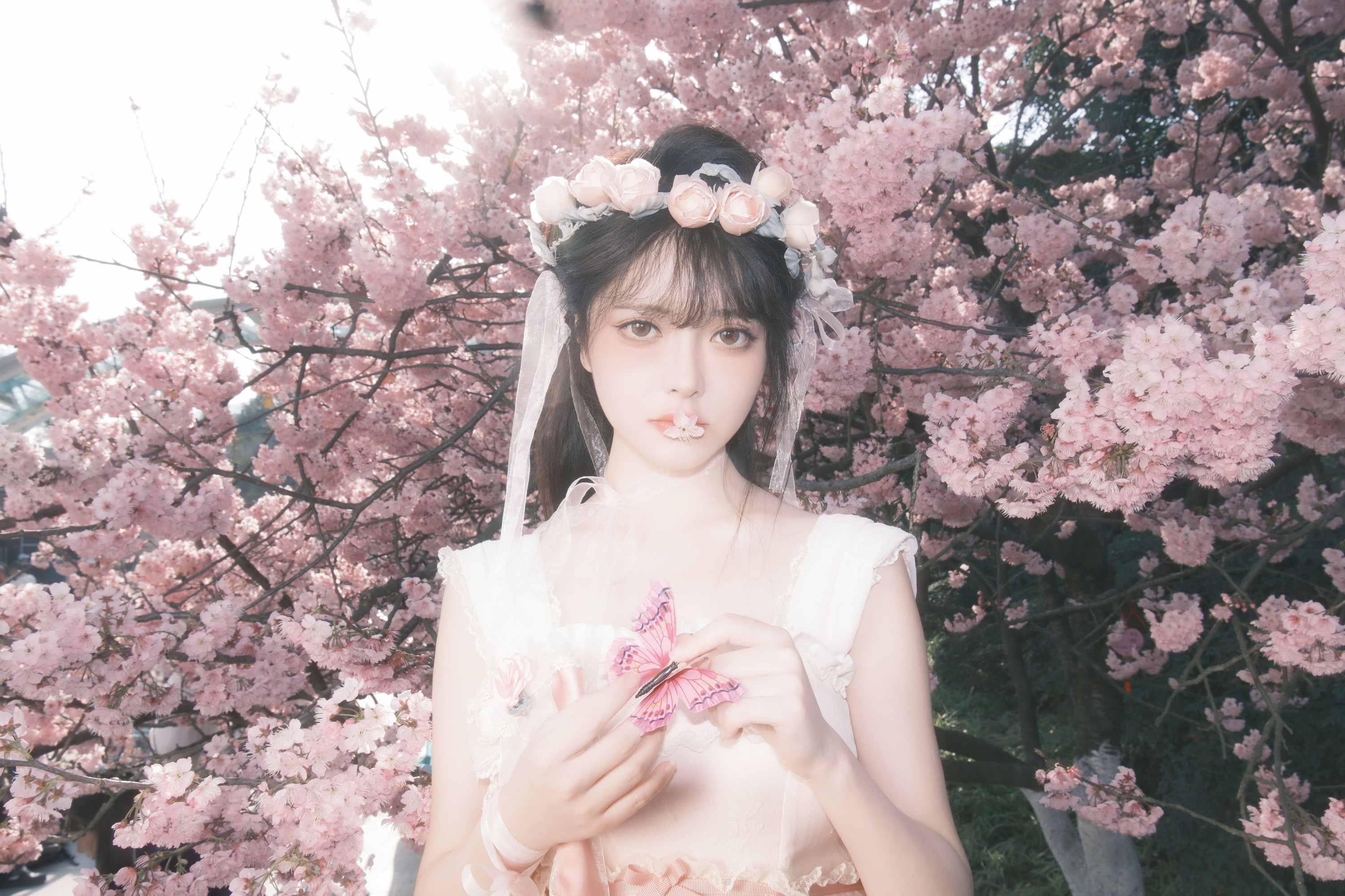 图片[5]-星之卡桃 – 《樱花少女梦》[28P]-COS写真在线网