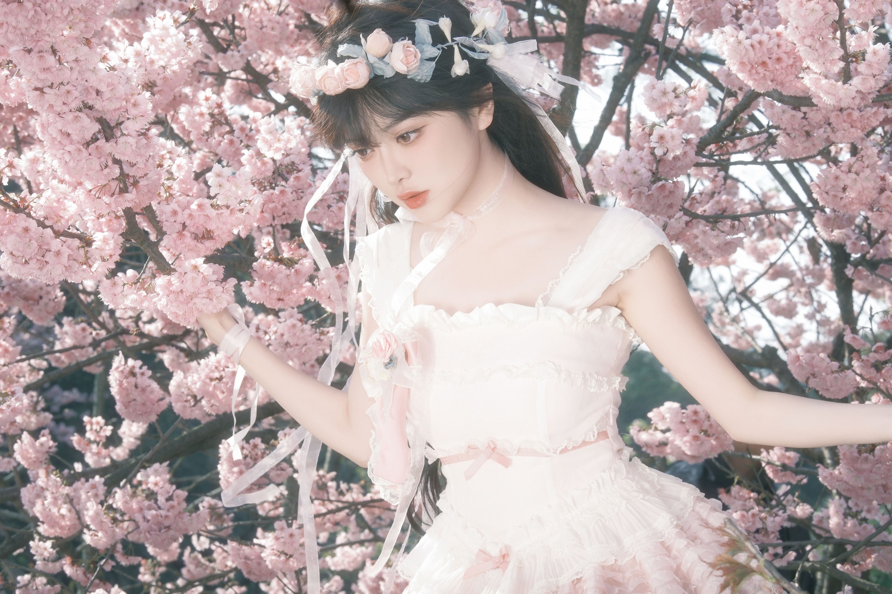 图片[4]-星之卡桃 – 《樱花少女梦》[28P]-COS写真在线网