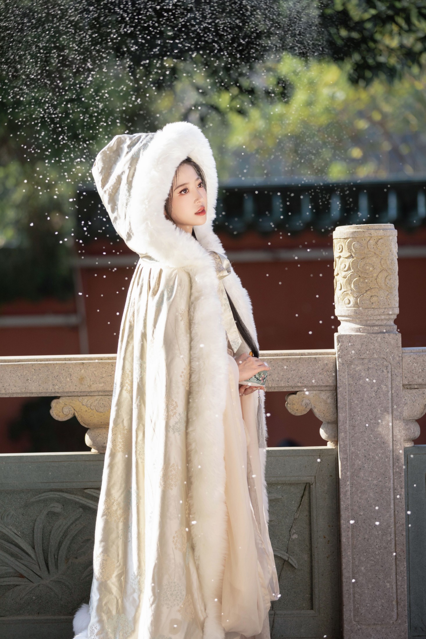 图片[6]-诗诗呀 – 《落雪》[22P]-COS写真在线网