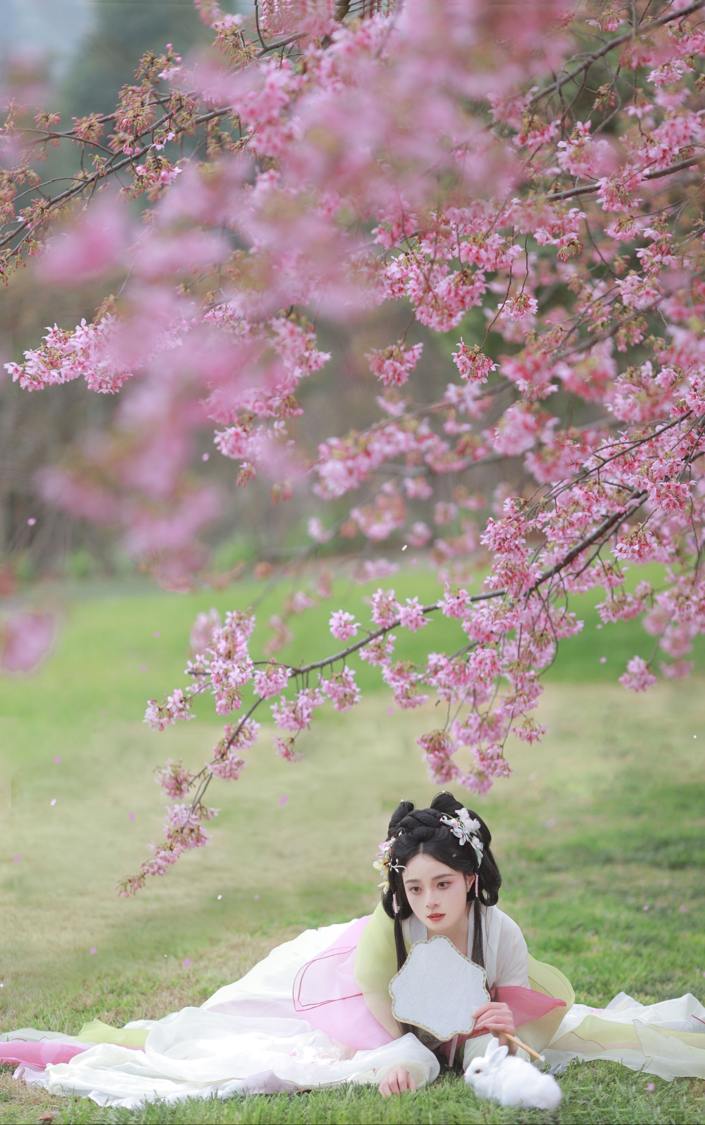 图片[5]-岁岁如意 – 《樱花雨》[22P]-COS写真在线网
