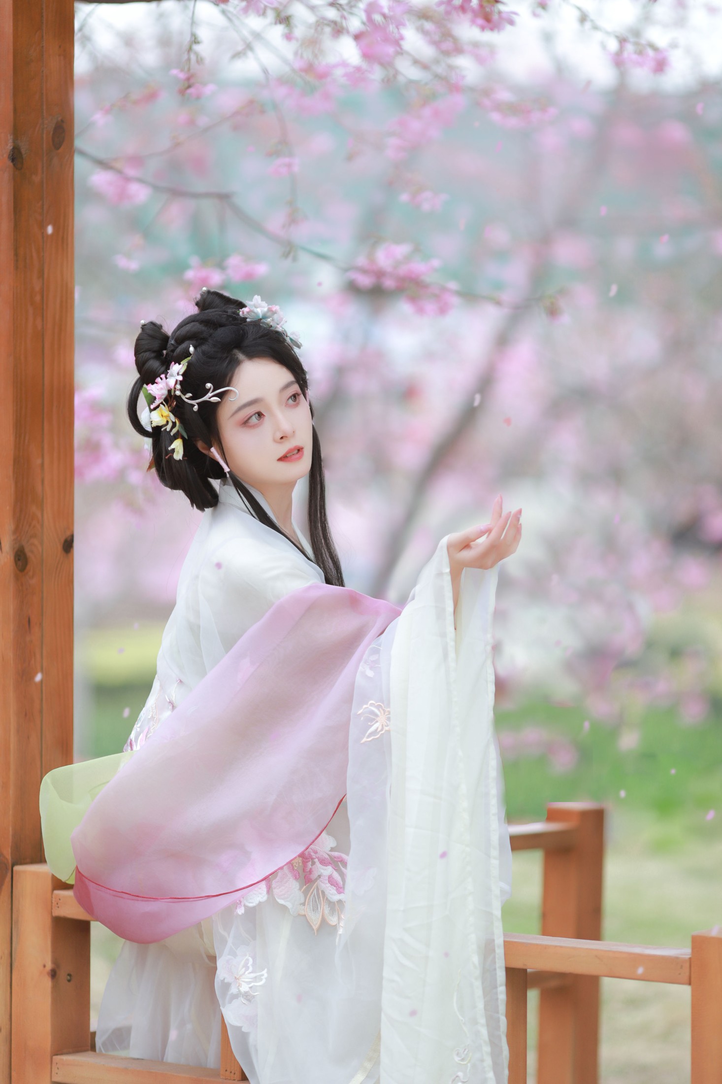 图片[3]-岁岁如意 – 《樱花雨》[22P]-COS写真在线网