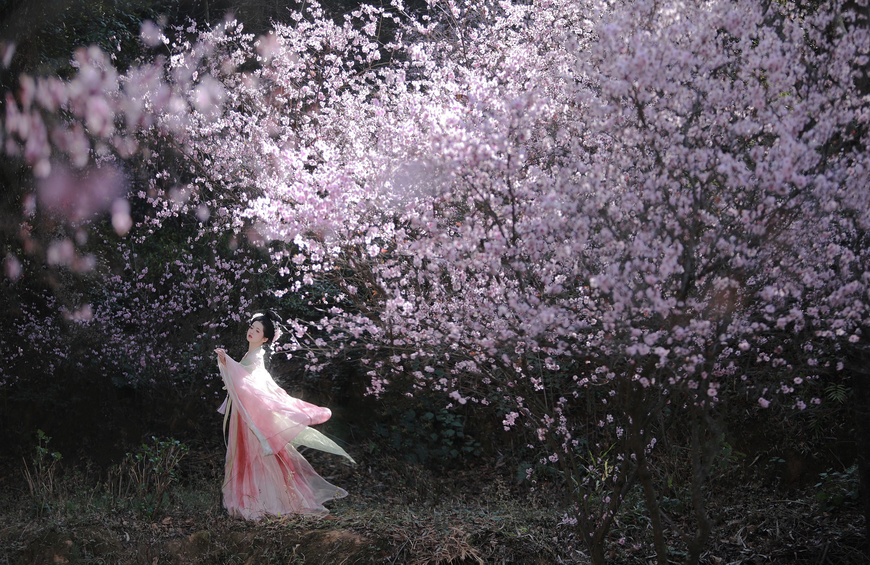 图片[5]-一枝眠眠 – 《春有百花秋有月》[25P]-COS写真在线网