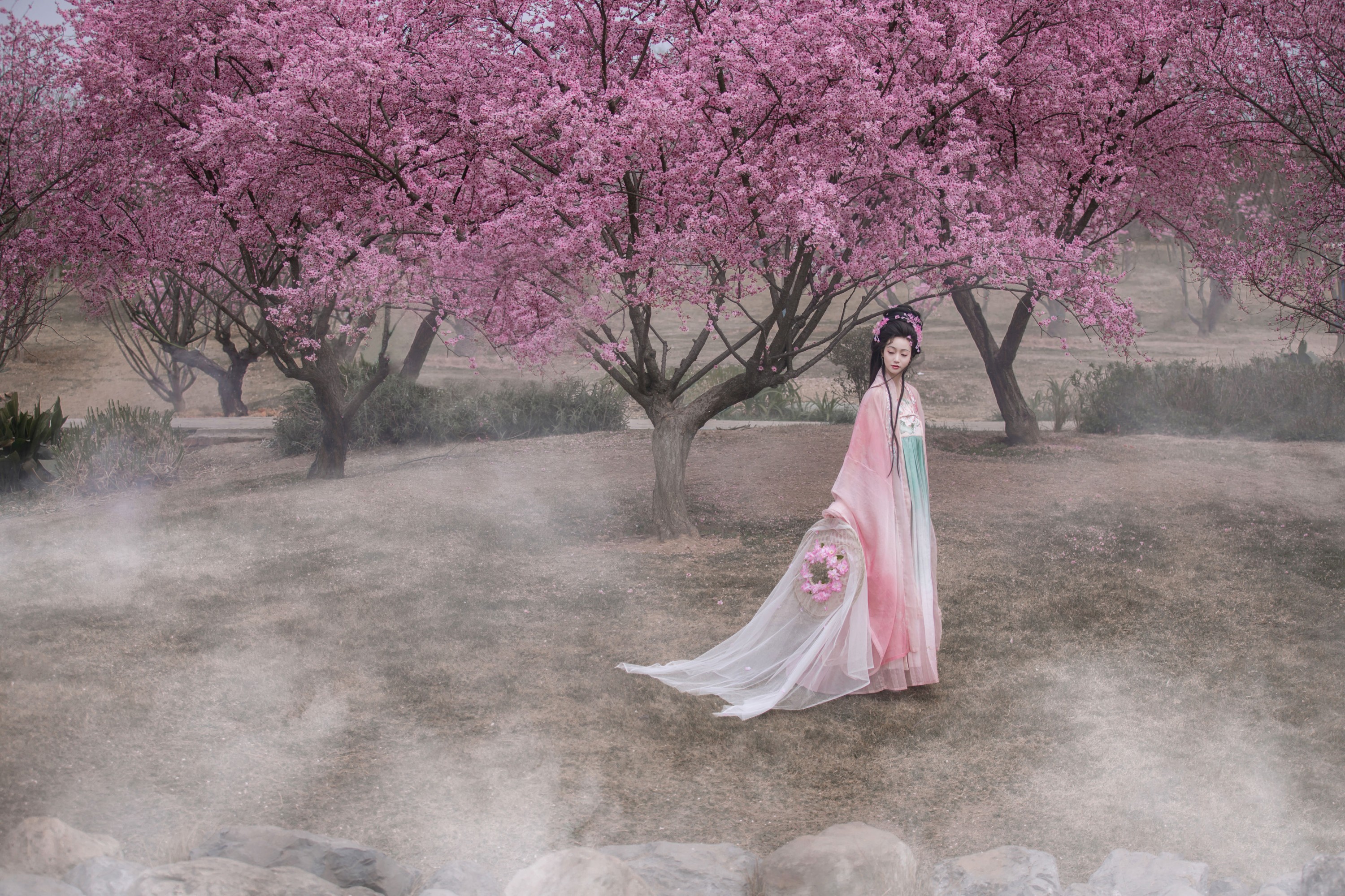 图片[3]-凌子兮 – 《春有约》[24P]-COS写真在线网