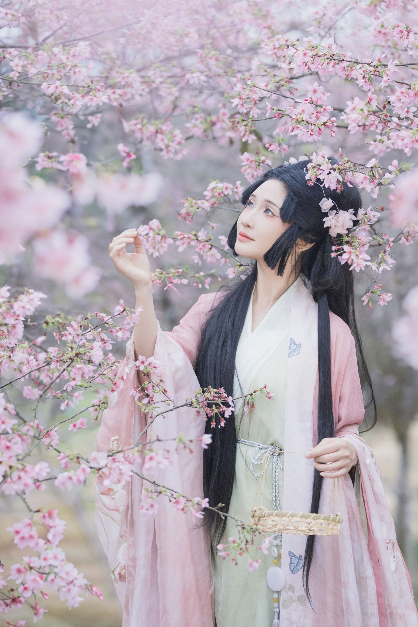 图片[5]-希希 – 《落樱》[23P]-COS写真在线网
