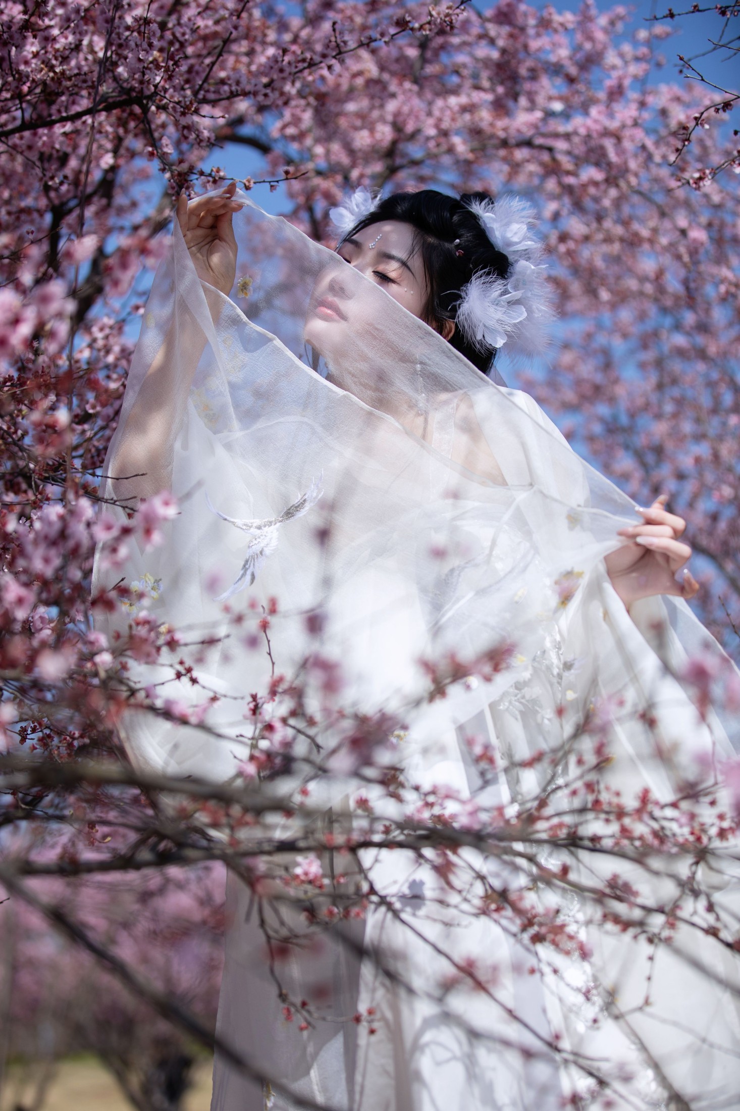图片[6]-桐沐沐 – 《赏清波》[21P]-COS写真在线网