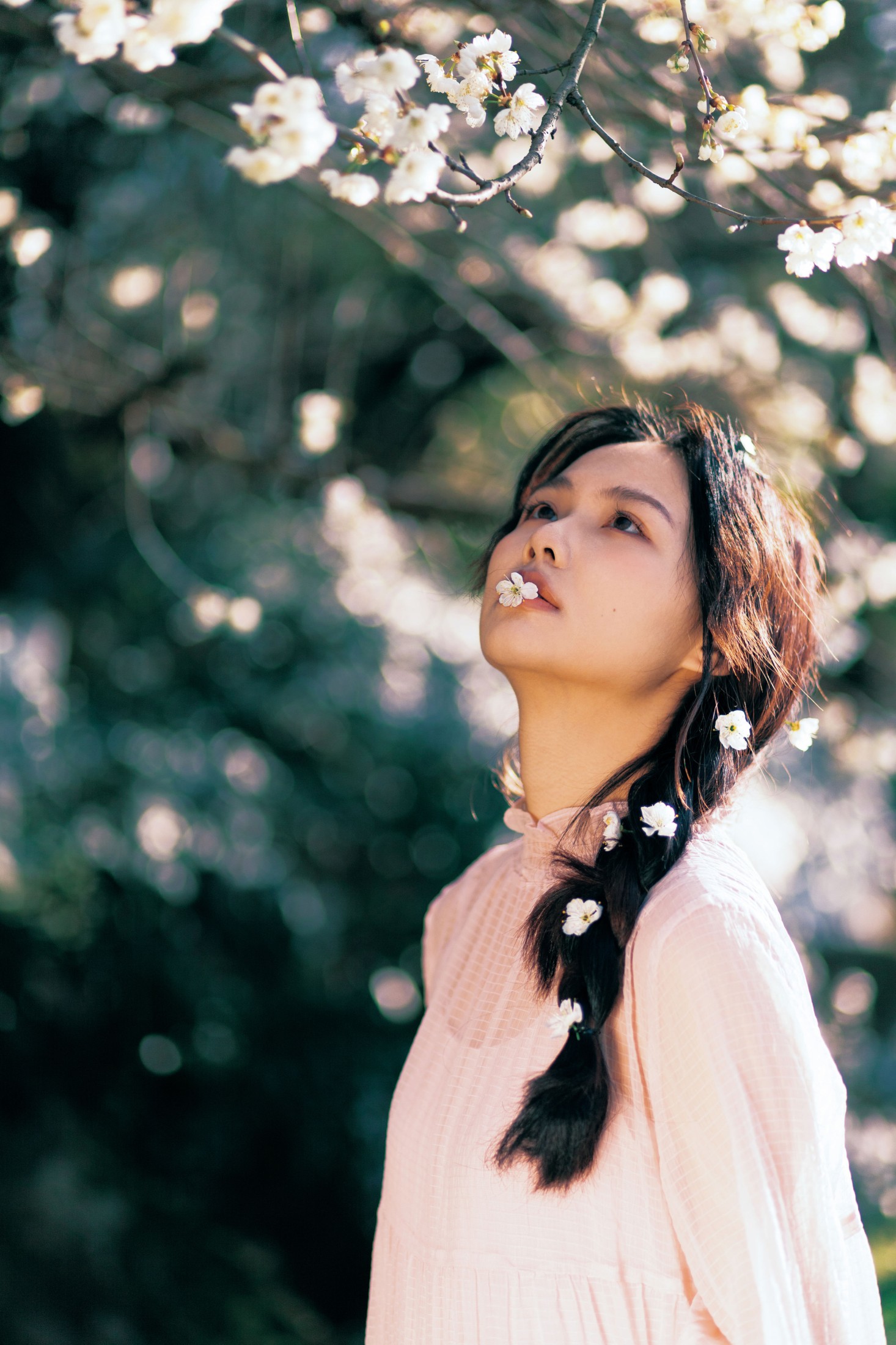 图片[3]-zora – 《春日樱》[28P]-COS写真在线网
