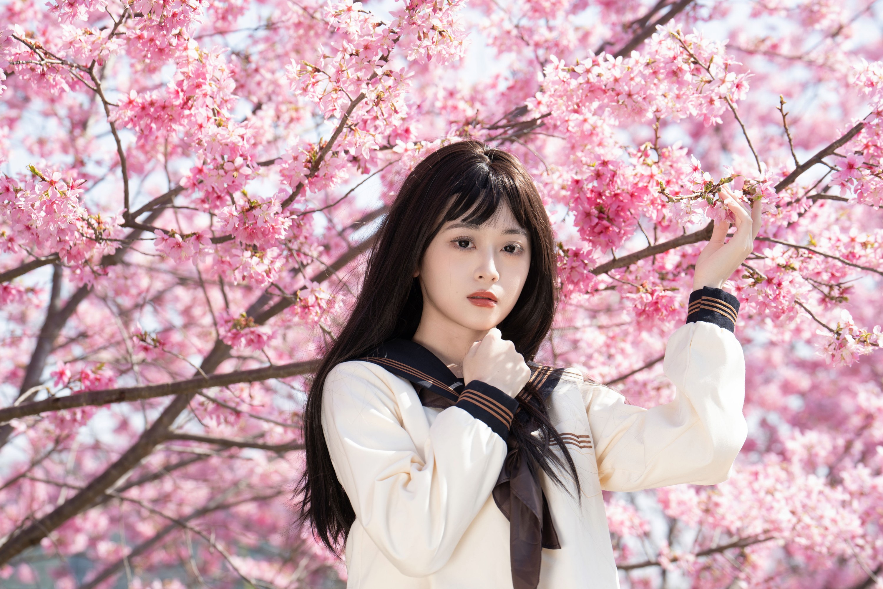 图片[3]-安琪不吃香菇 – 《樱花少女》[27P]-COS写真在线网
