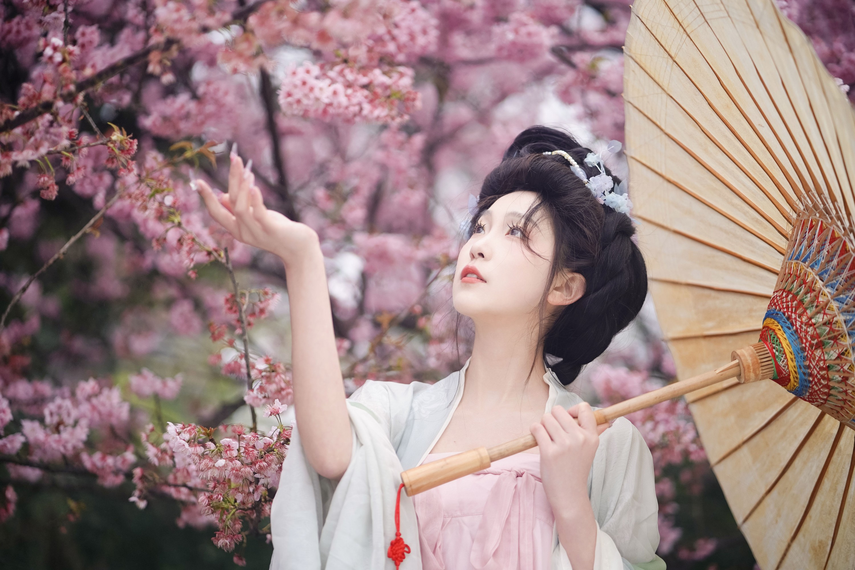 图片[5]-树芊忆 – 《春樱》[23P]-COS写真在线网