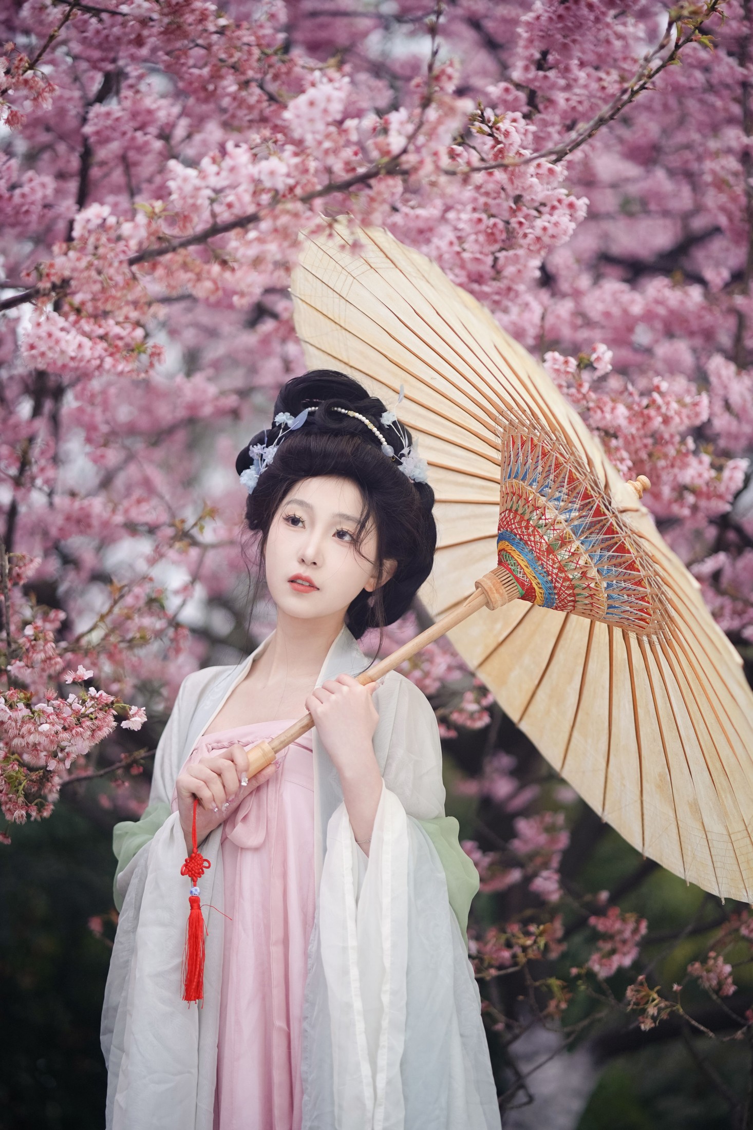 图片[3]-树芊忆 – 《春樱》[23P]-COS写真在线网