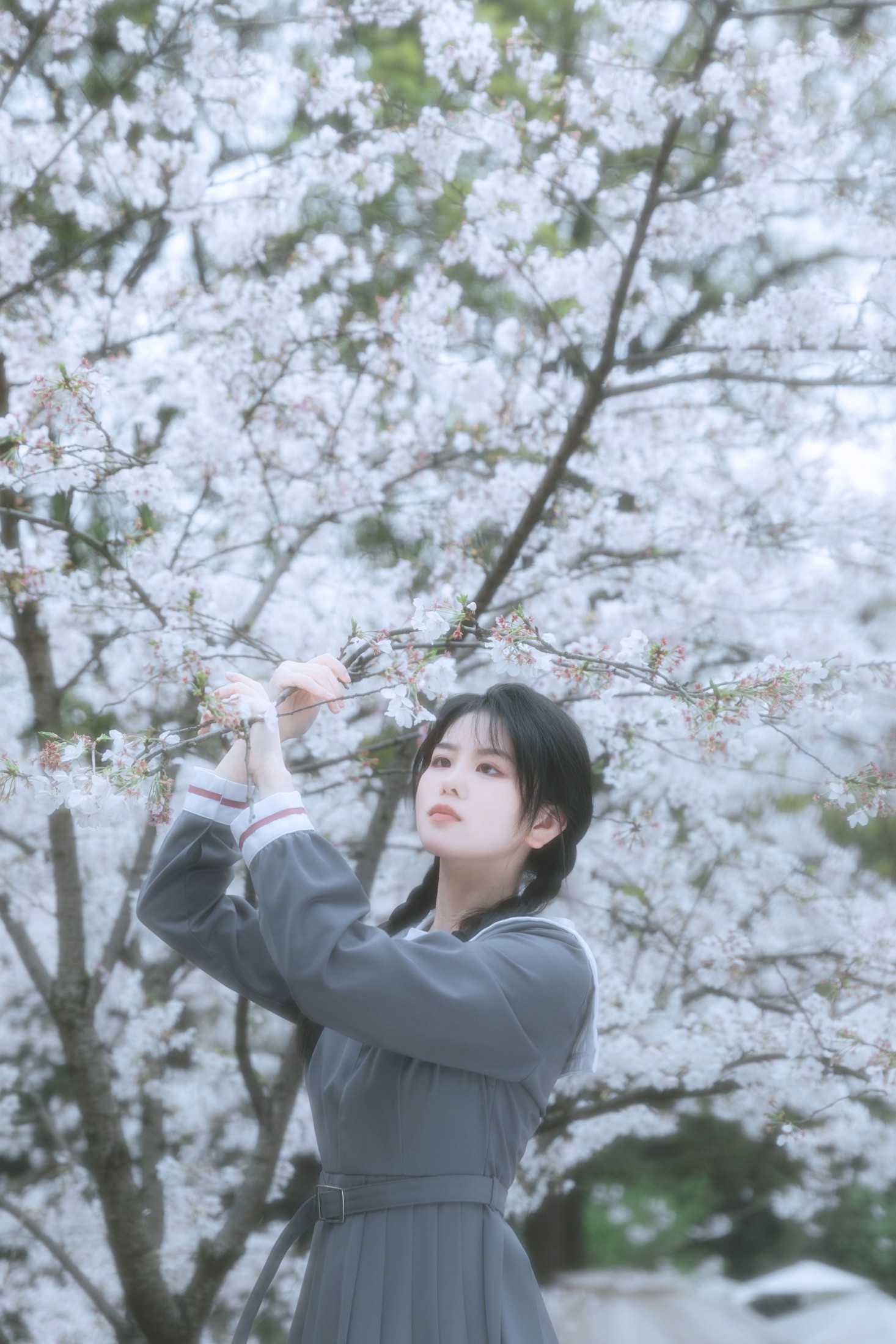 图片[4]-牛奶 – 《少女与花》[22P]-COS写真在线网