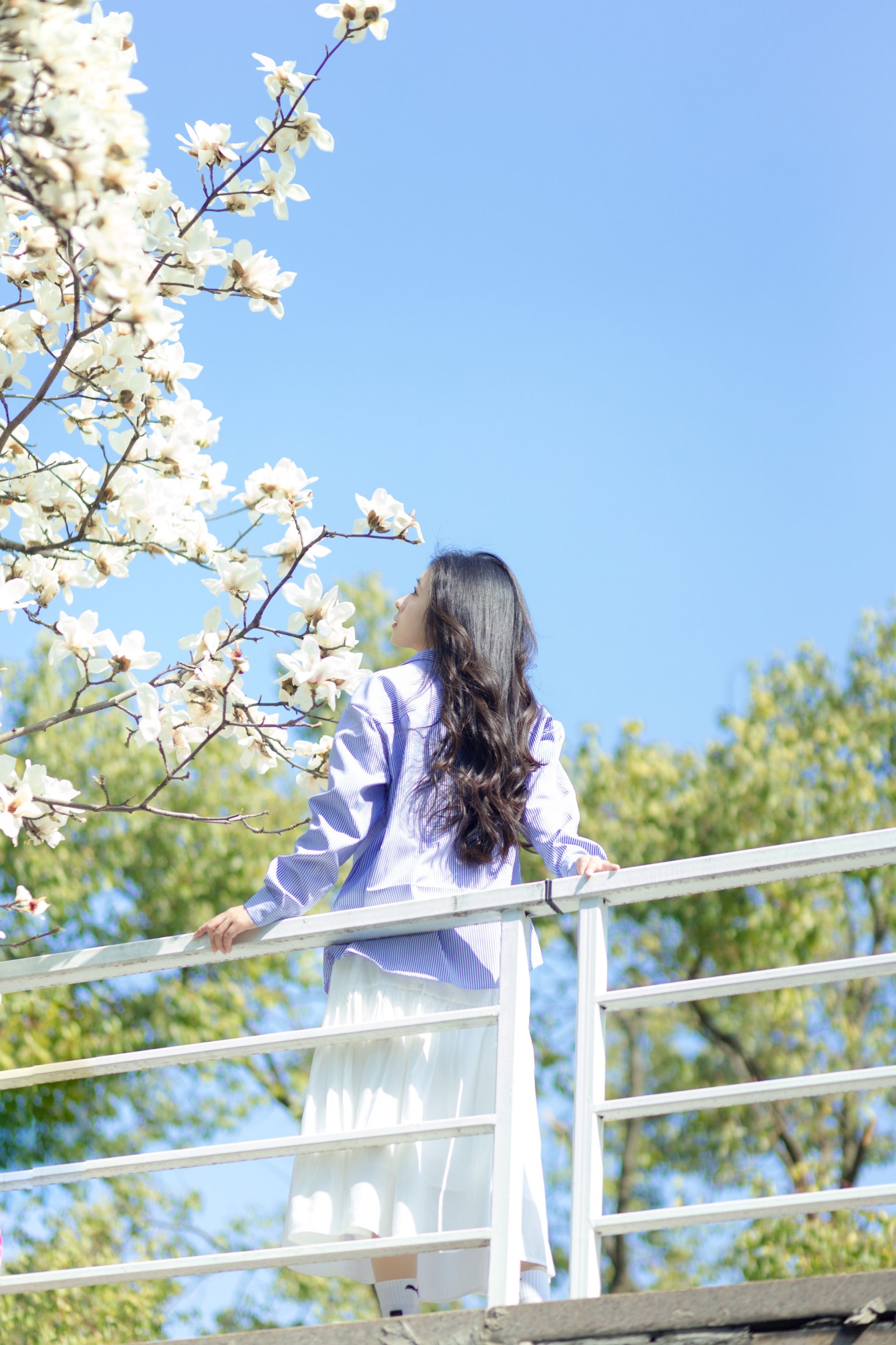 图片[3]-木柚柚 – 《春和景明》[25P]-COS写真在线网