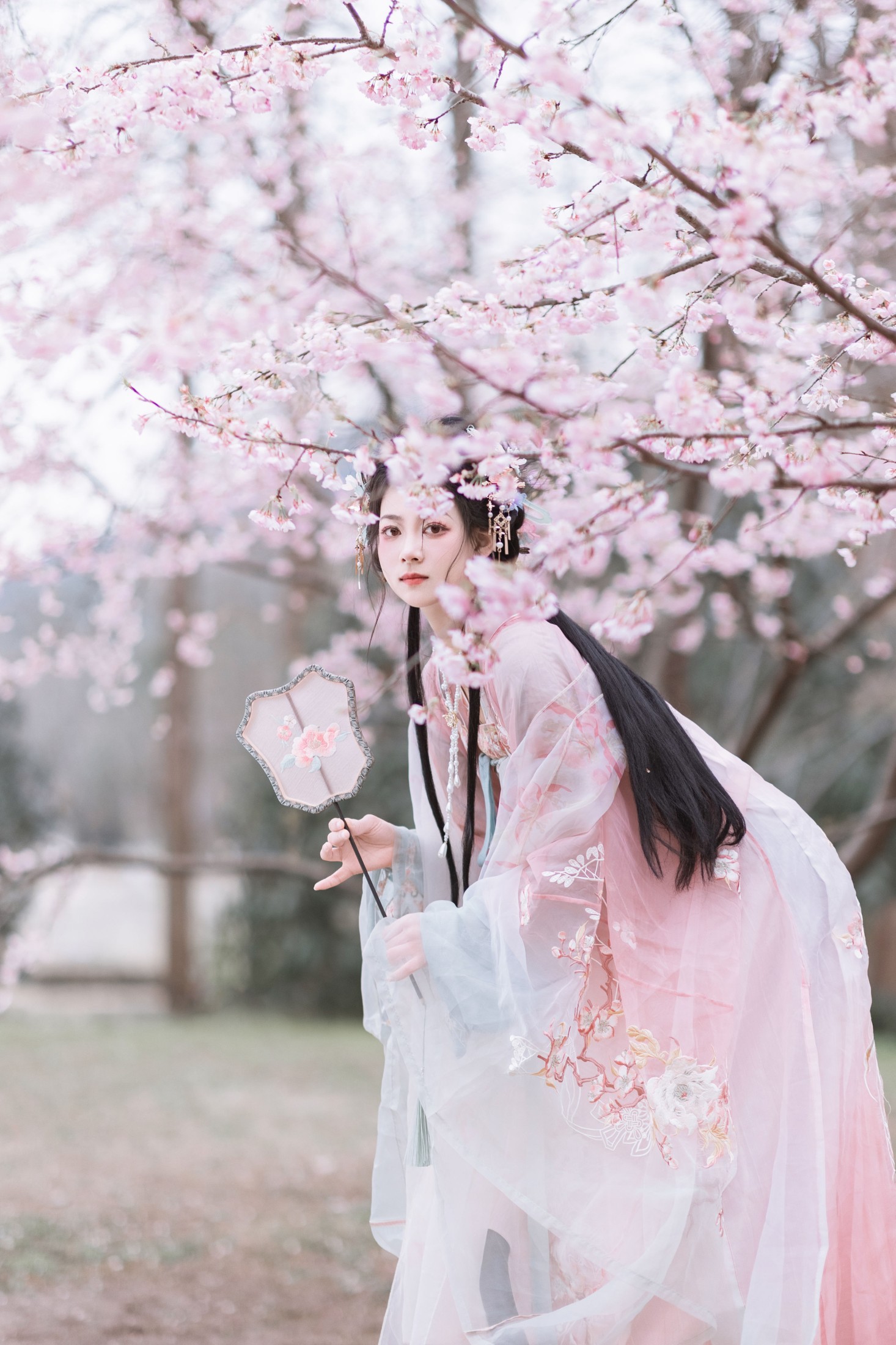 图片[4]-昔让 – 《春之樱》[21P]-COS写真在线网