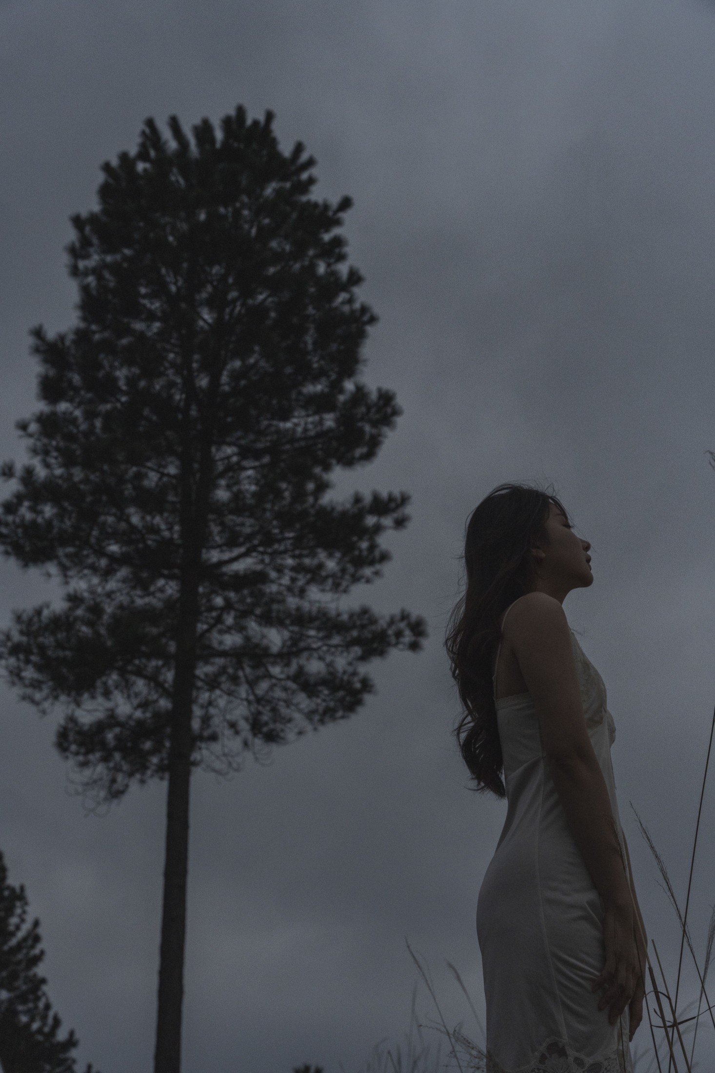 穆穆 – 《晚风拂面》[26P] - 秀人网免费无水印在线套图写真