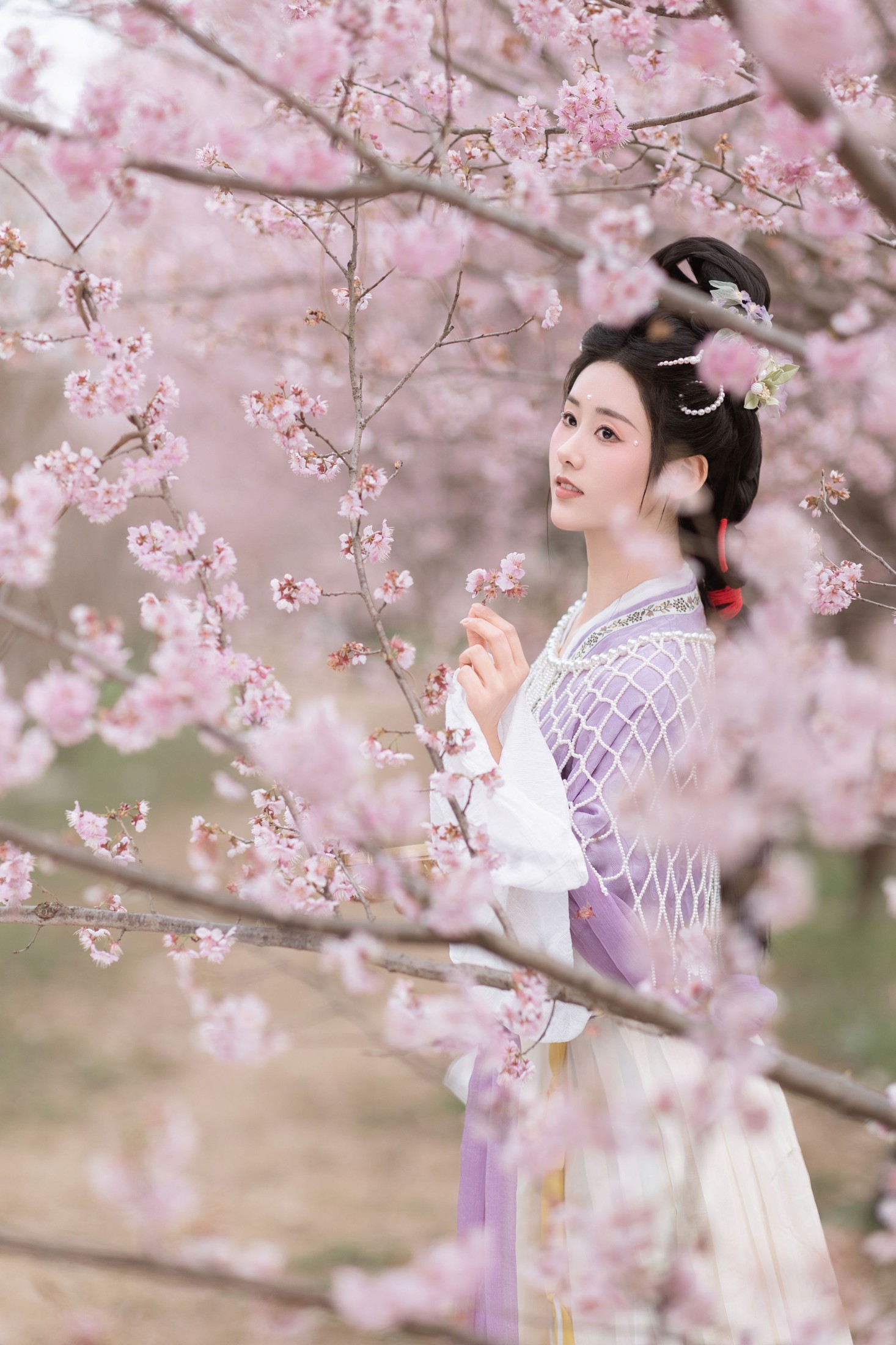 图片[5]-人间月-素尘 – 《春日赏樱》[30P]-COS写真在线网