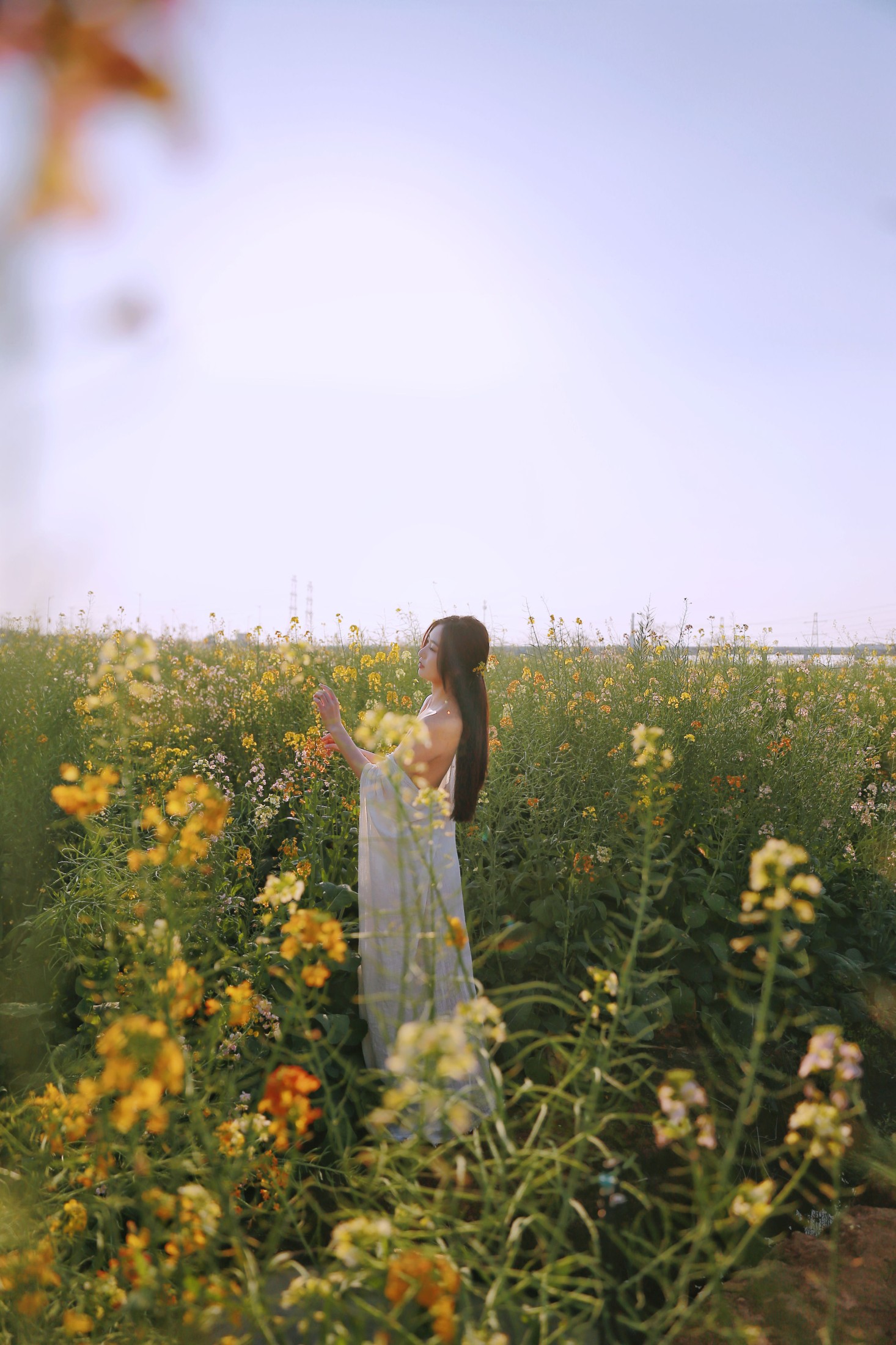 图片[4]-小熊 – 《七彩花田之美》[28P]-COS写真在线网