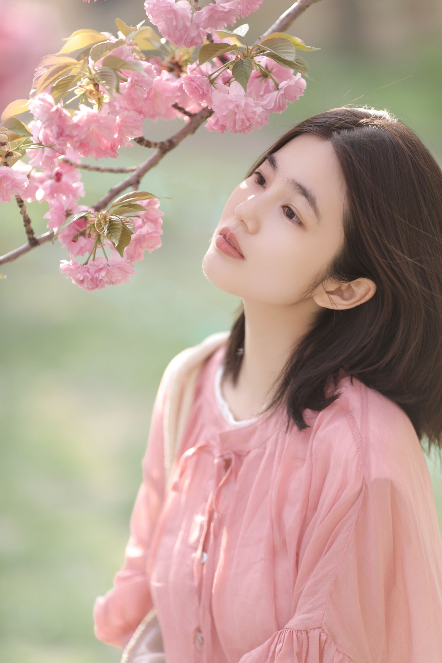 图片[4]-凡凡 – 《晚樱》[26P]-COS写真在线网