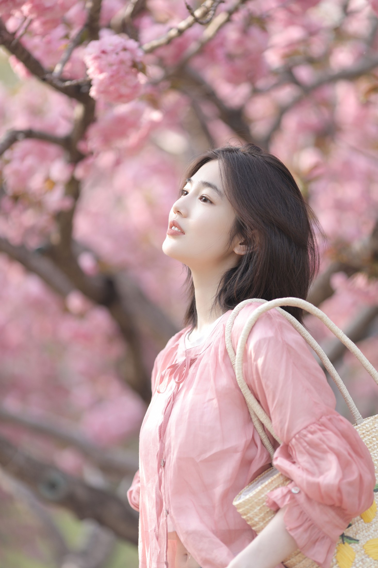 图片[3]-凡凡 – 《晚樱》[26P]-COS写真在线网