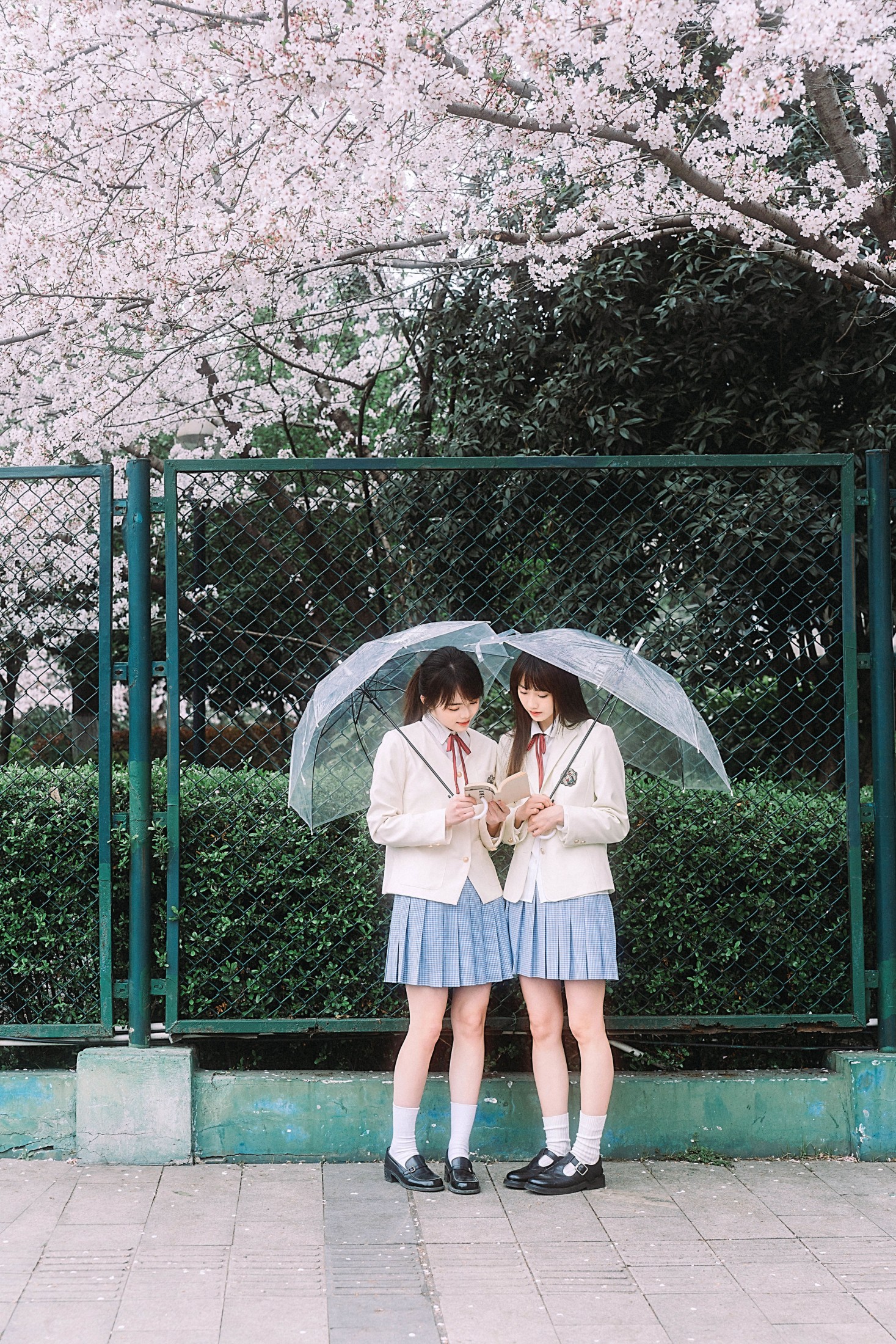 图片[3]-一口点心 炸藕夹 – 《春日华尔兹》[20P]-COS写真在线网