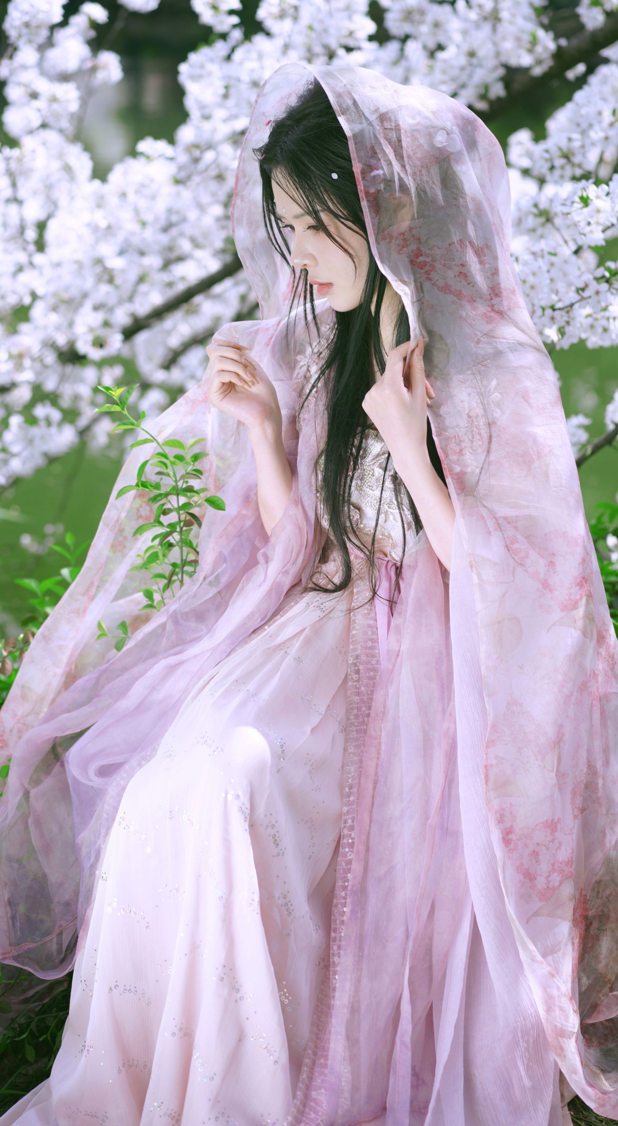 图片[4]-曦曦 – 《樱花季》[22P]-COS写真在线网