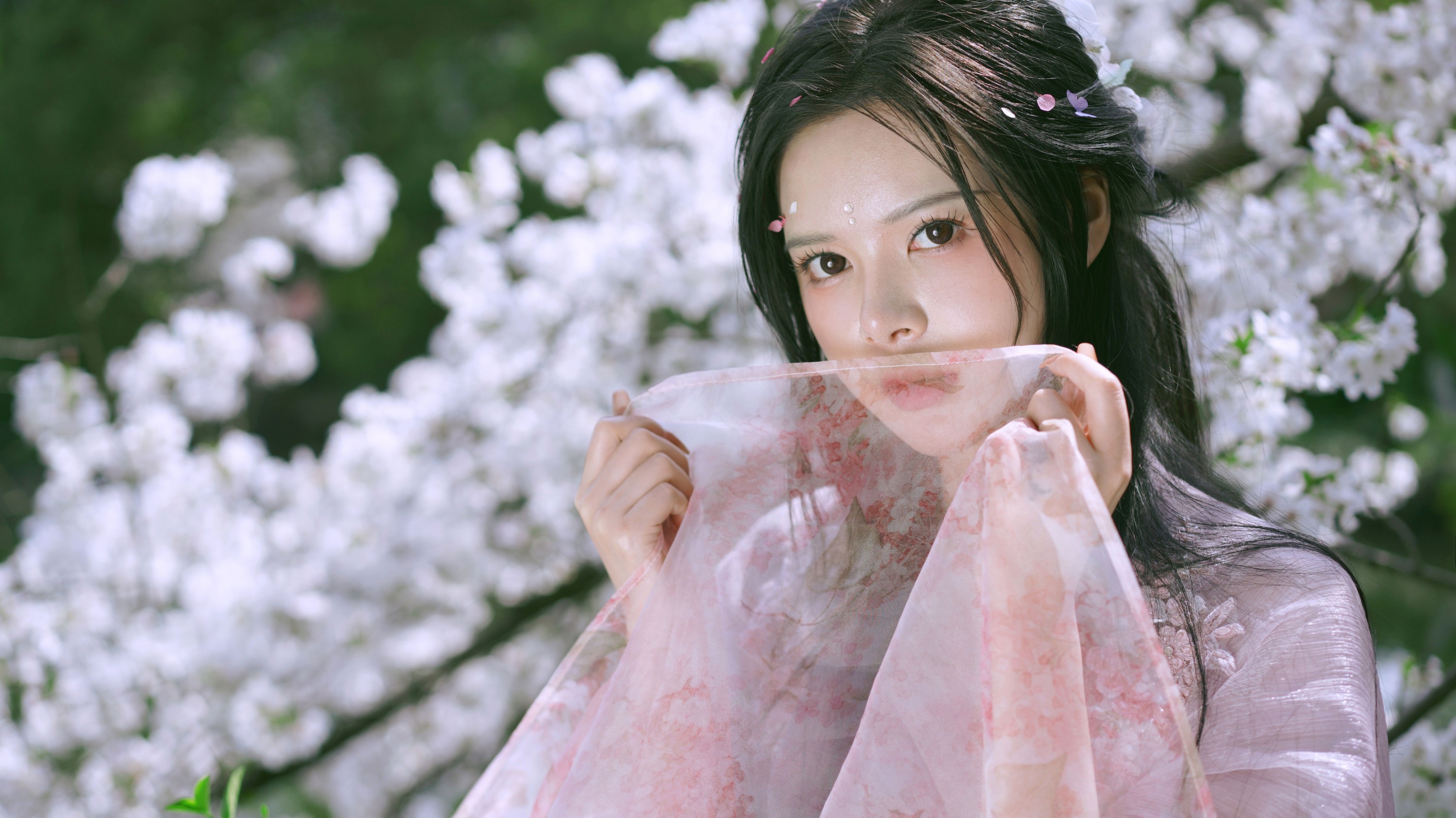 图片[5]-曦曦 – 《樱花季》[22P]-COS写真在线网