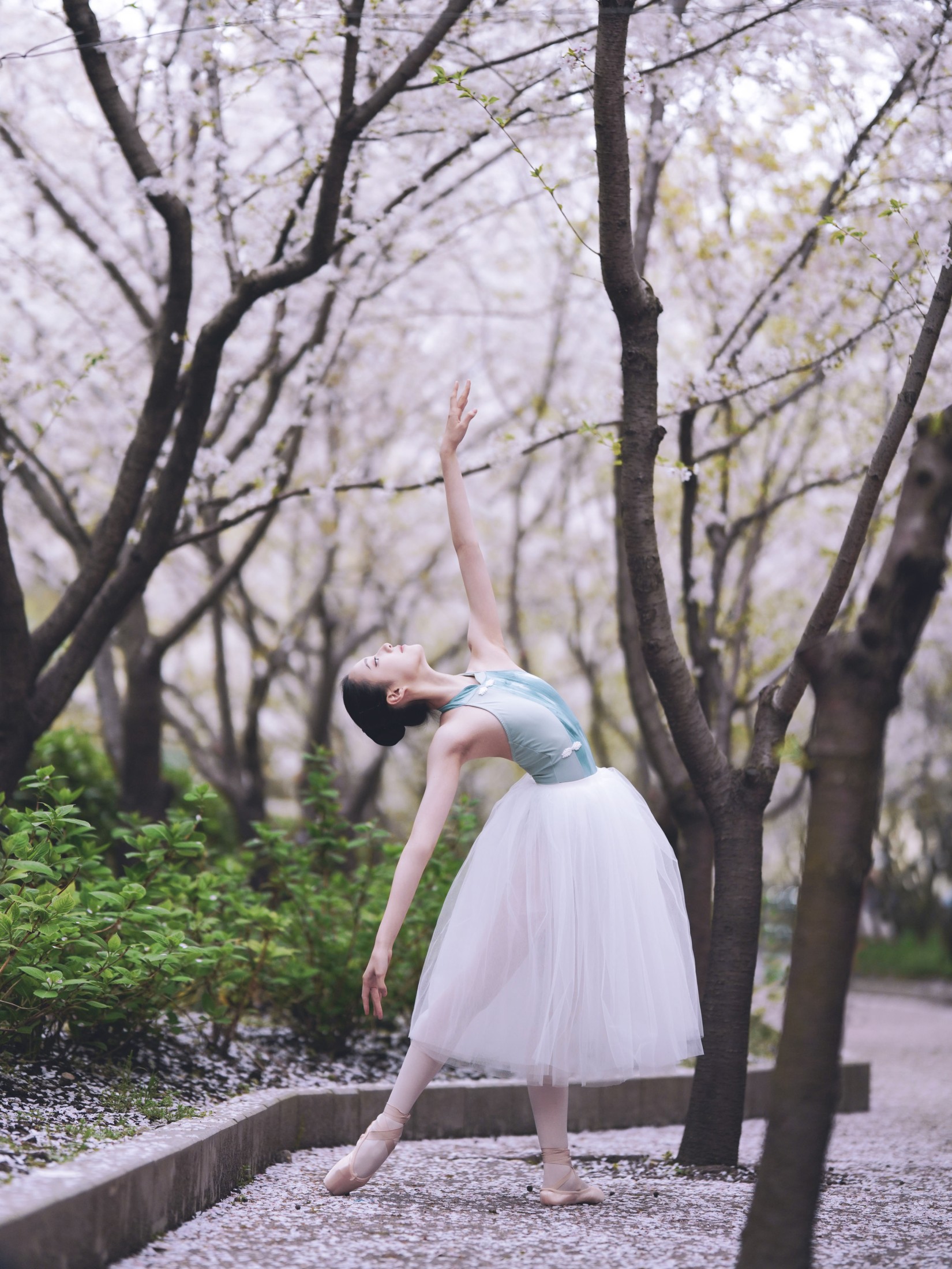 图片[4]-小熊 – 《樱花芭蕾》[25P]-COS写真在线网
