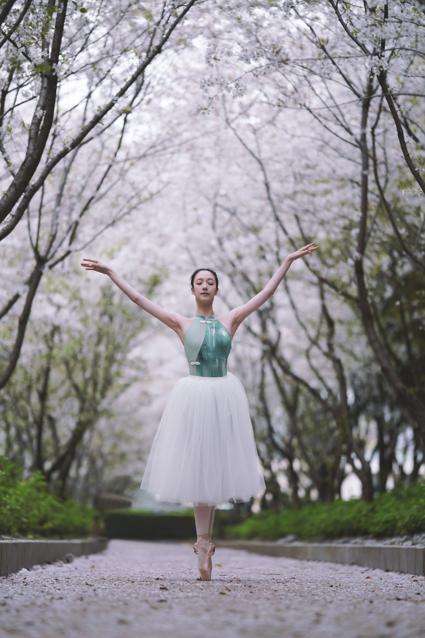 图片[5]-小熊 – 《樱花芭蕾》[25P]-COS写真在线网