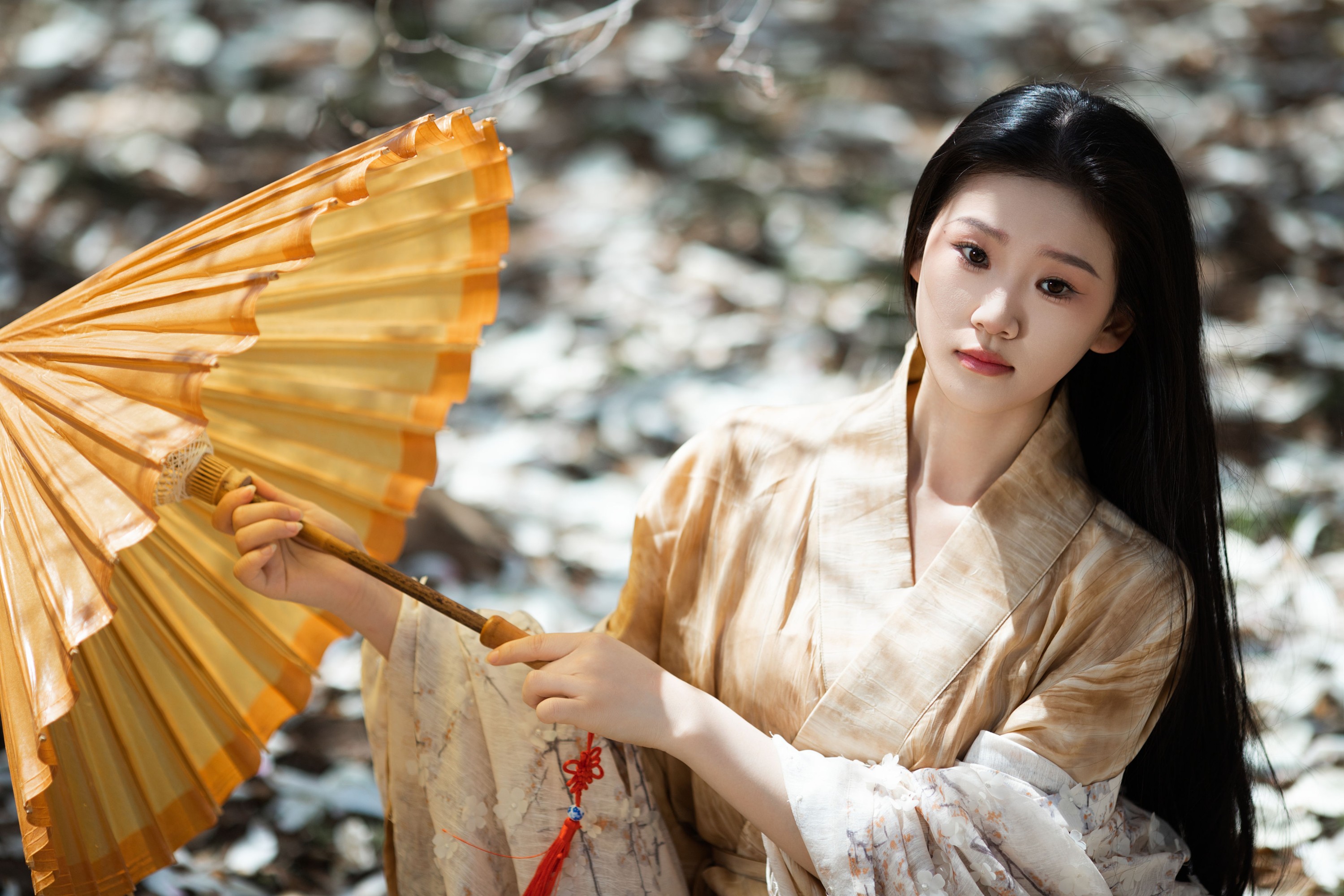 图片[3]-相望回首喵喵喵 – 《玉兰花开》[24P]-COS写真在线网