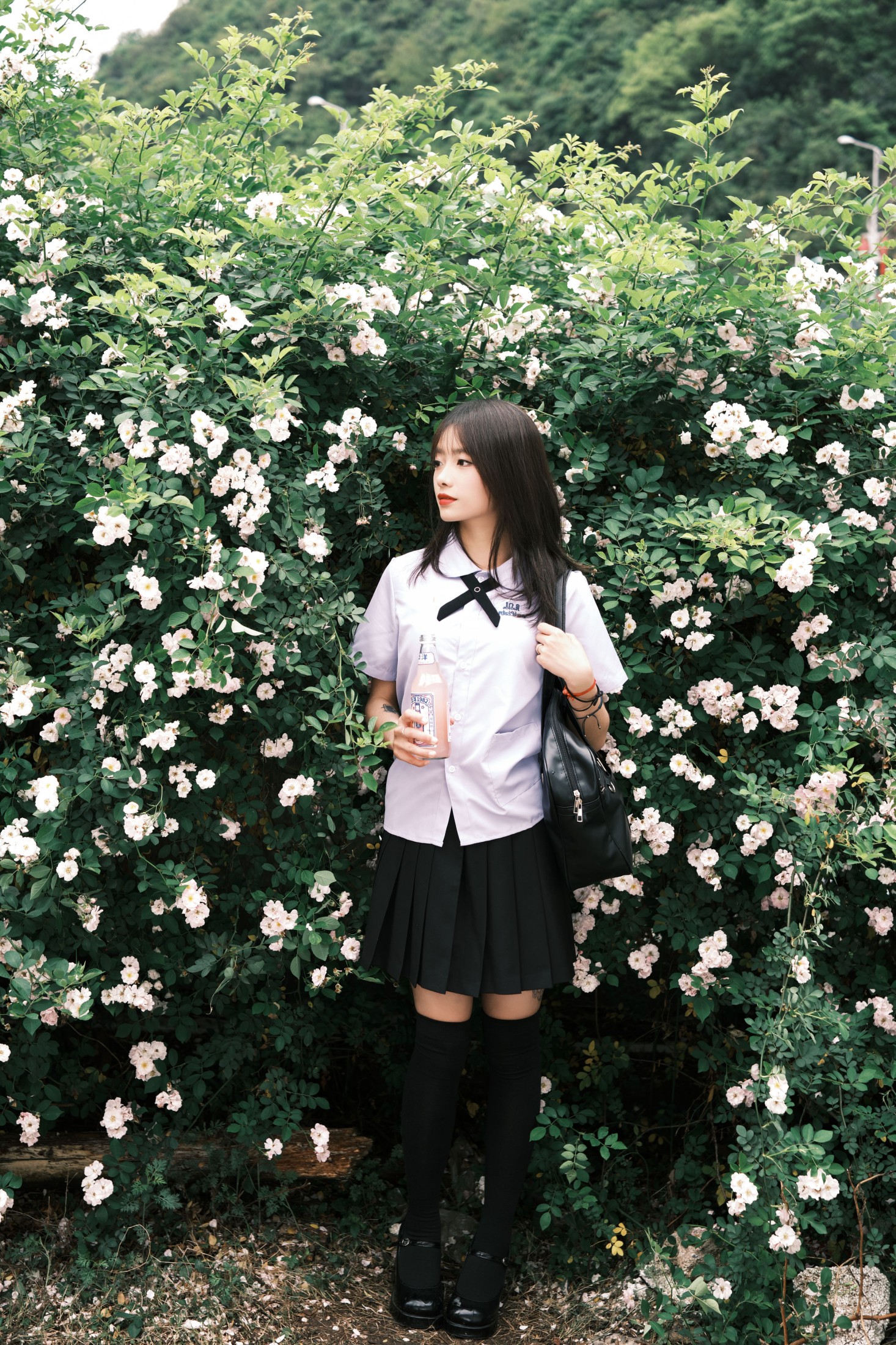 图片[4]-叶耶耶耶耶 – 《蔷薇少女》[25P]-COS写真在线网