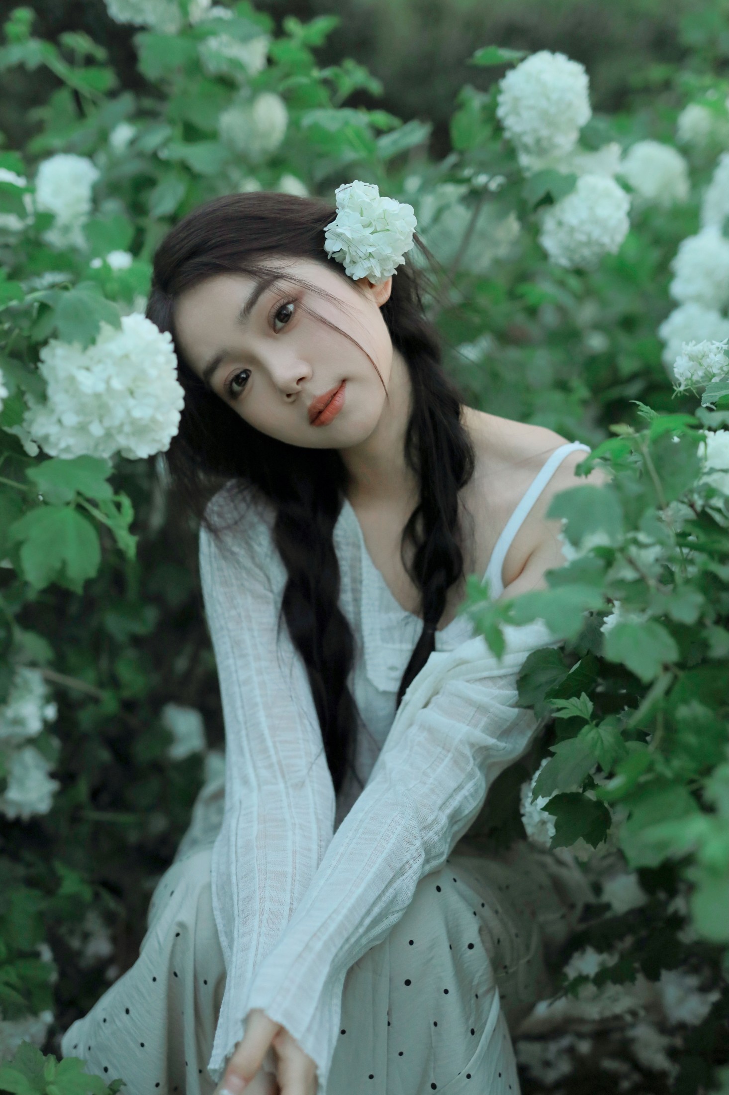图片[5]-我不刷鸟 – 《四月绣球》[22P]-COS写真在线网