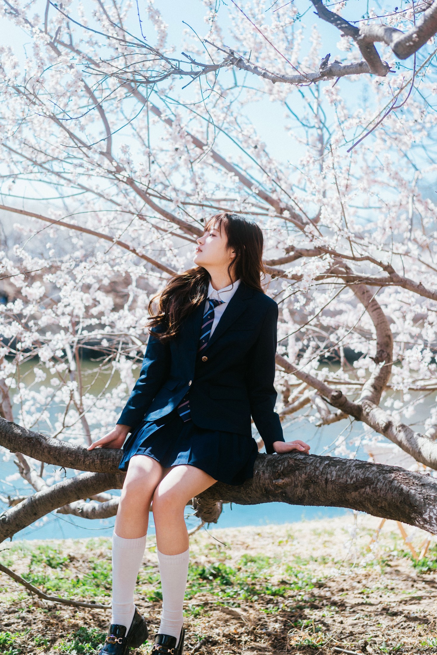 图片[4]-苏闪闪 – 《花与少女》[29P]-COS写真在线网
