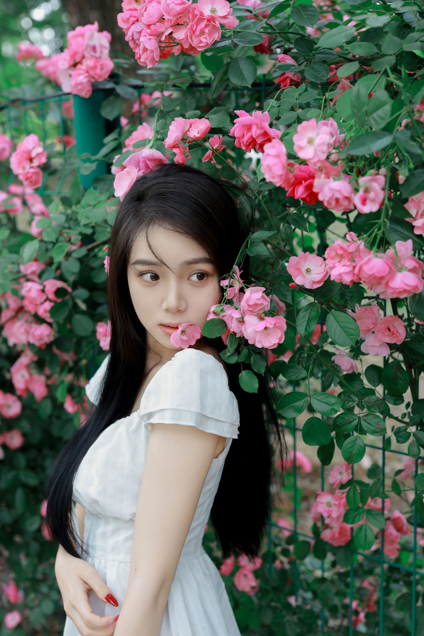 图片[5]-我不刷鸟 – 《花墙》[26P]-COS写真在线网