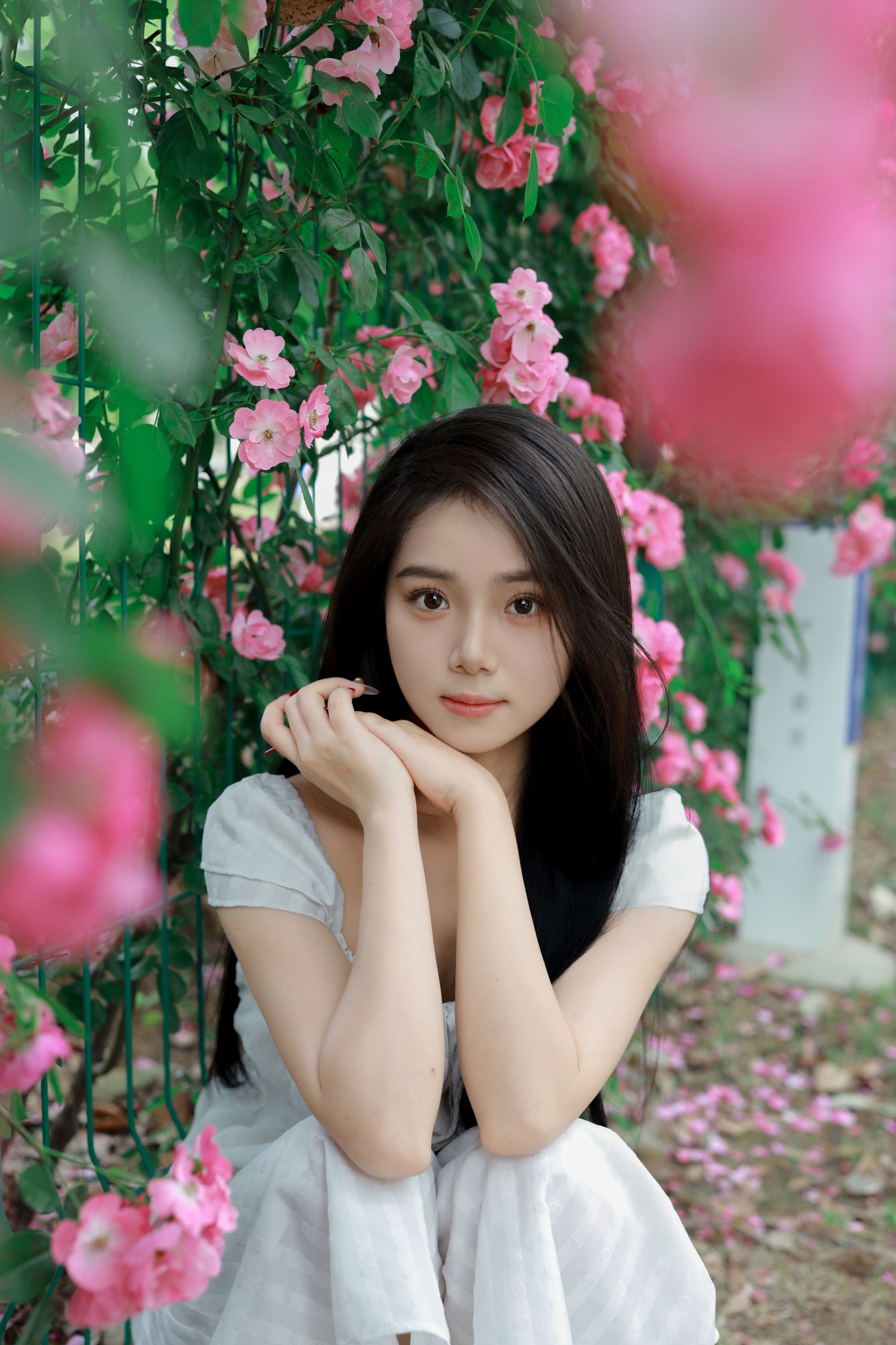 图片[3]-我不刷鸟 – 《花墙》[26P]-COS写真在线网